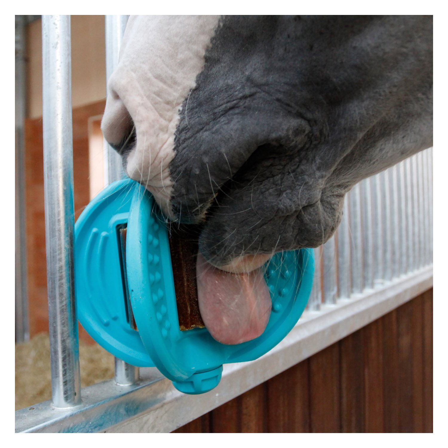 Bizzy HORSE Ball, für Pferde – Ansicht 2