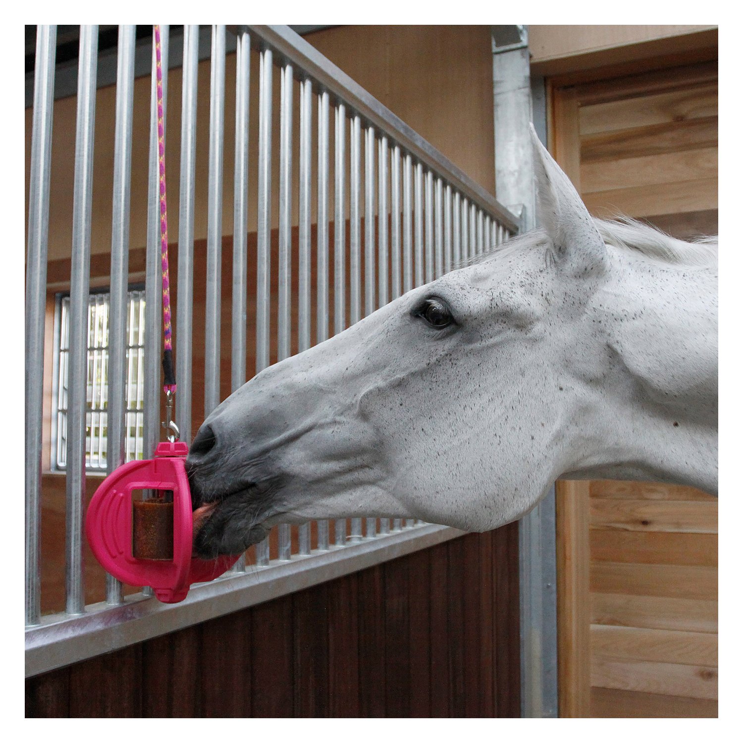 Bizzy HORSE Ball, für Pferde – Ansicht 2