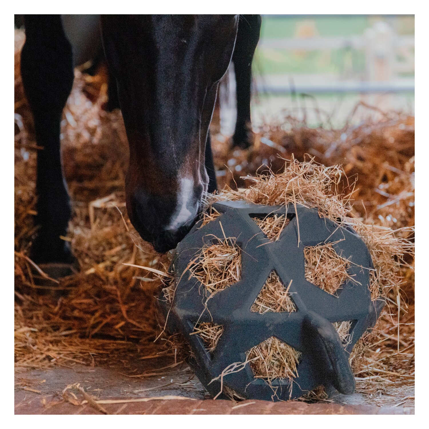 KENTUCKY Relax Pferde Spiel & Heuball – Ansicht 4