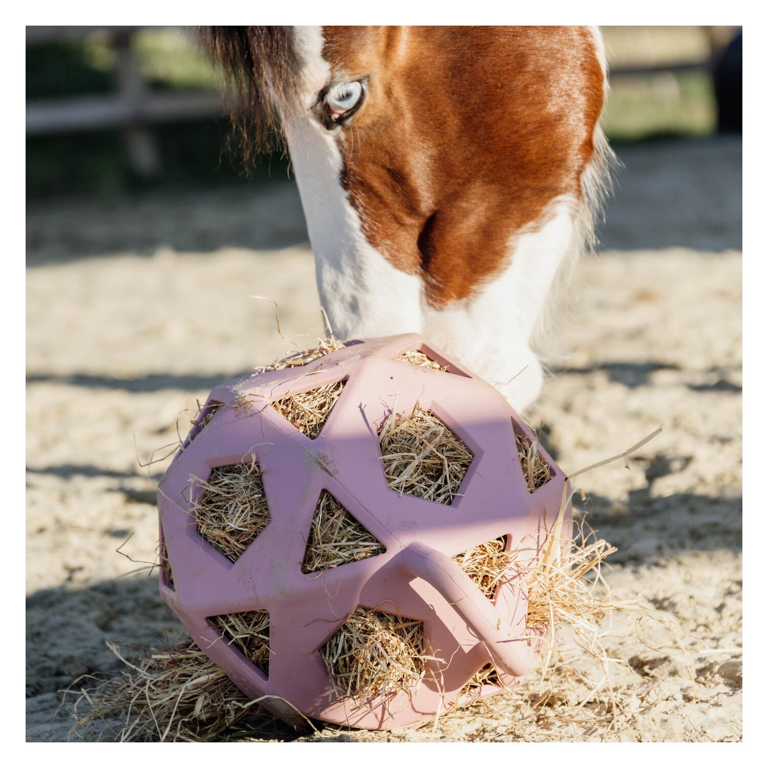 KENTUCKY Relax Pferde Spiel & Heuball – Ansicht 2