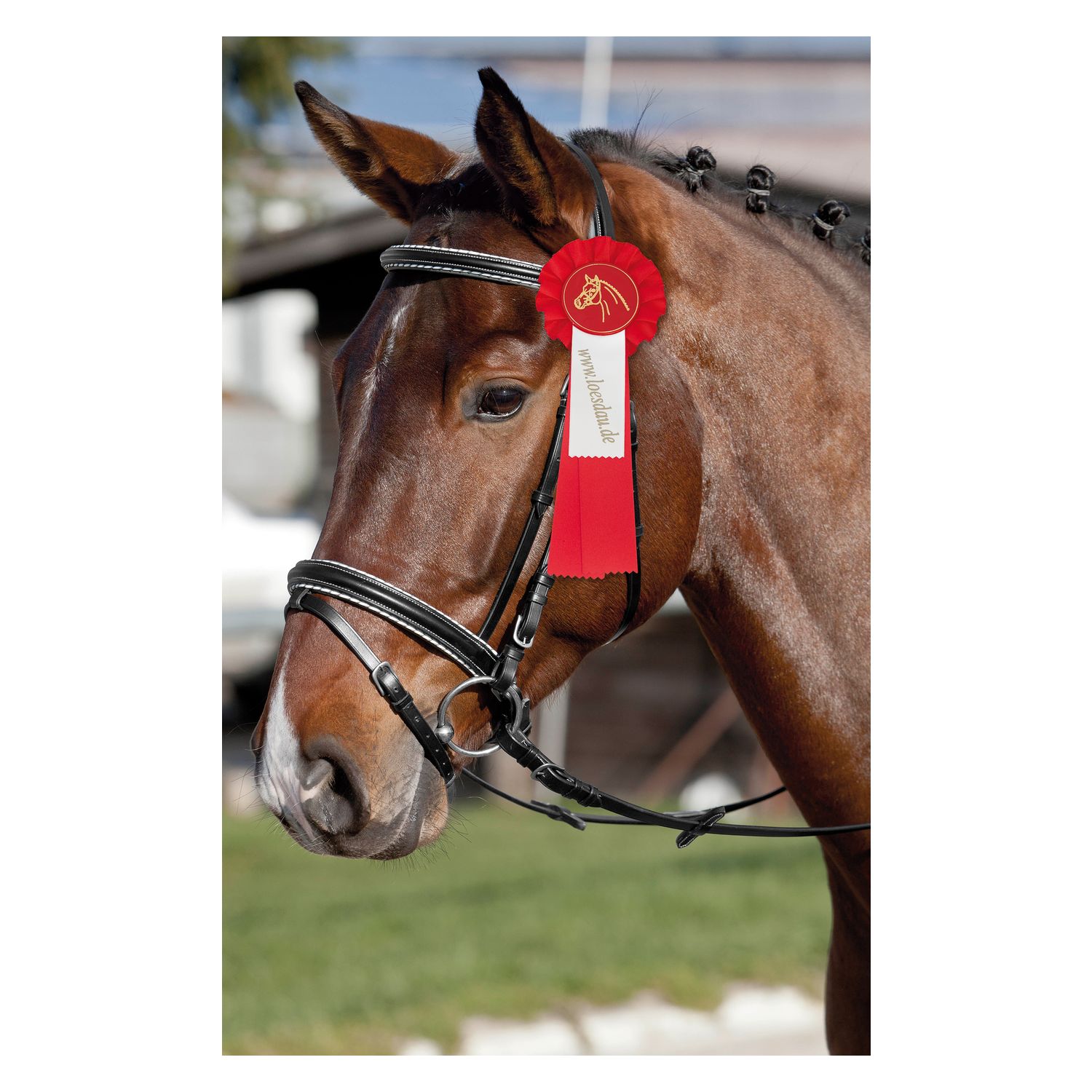 Turnierschleife für Bedruckungen – Ansicht 2