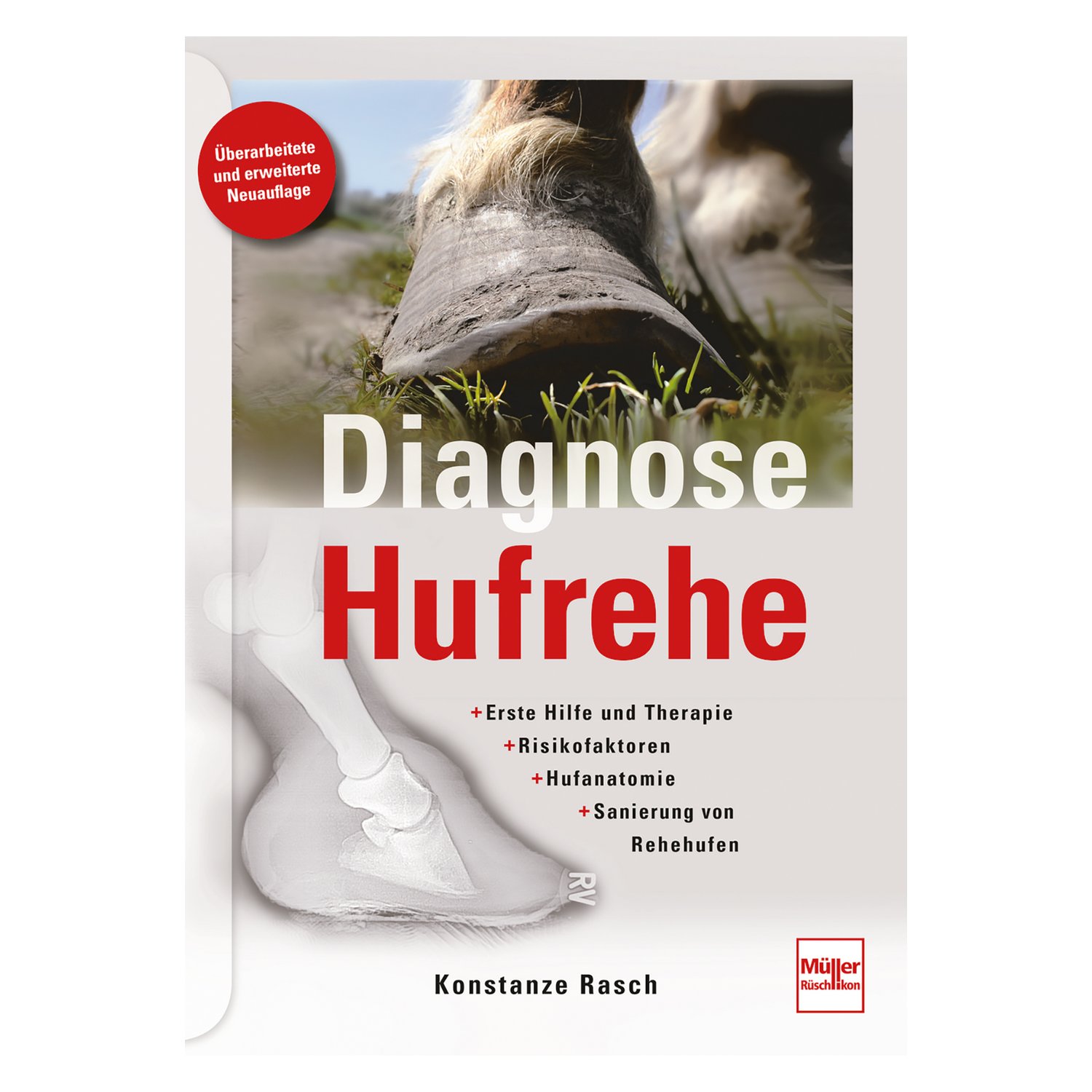 Diagnose Hufrehe – Ansicht 1