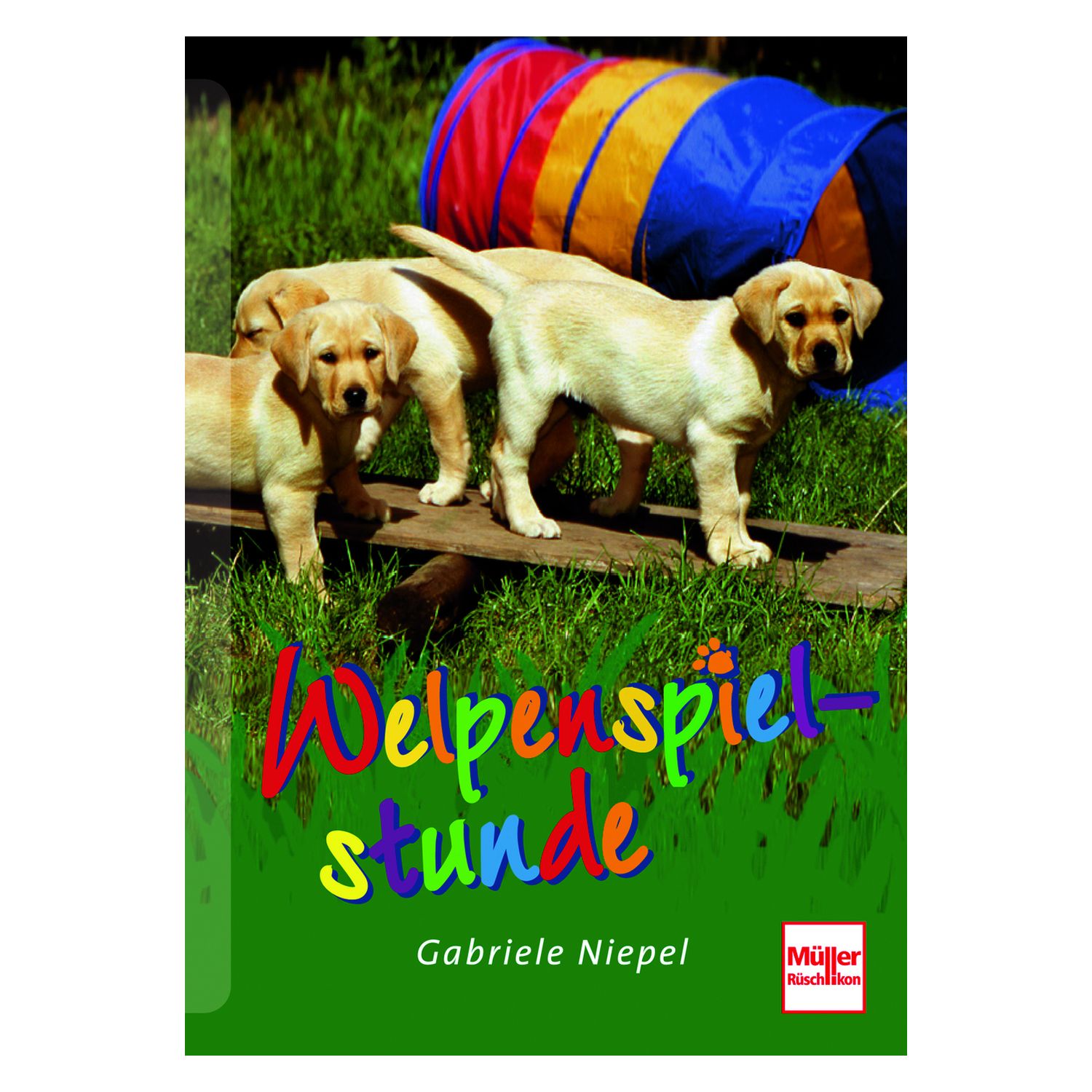Welpenspielstunde – Ansicht 1