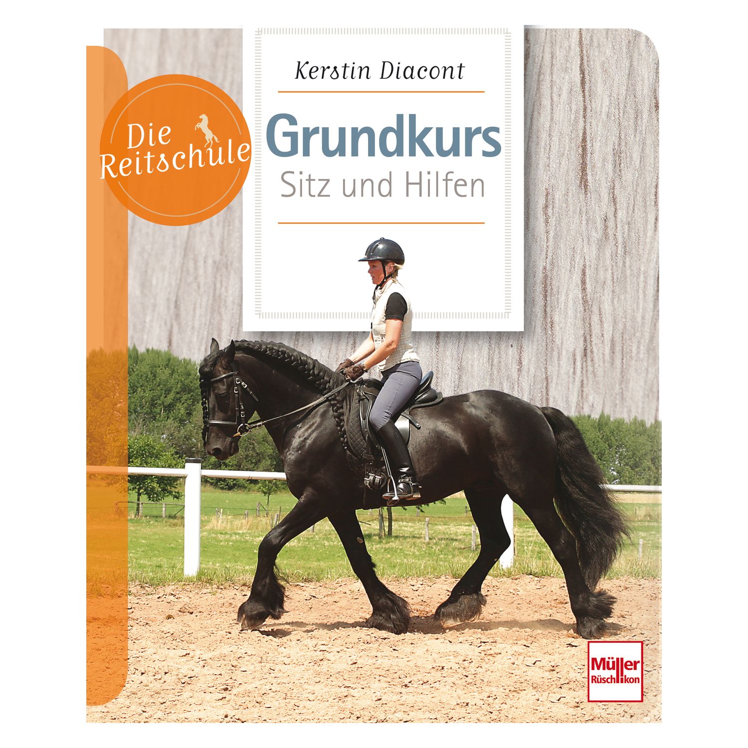 Grundkurs Sitz und Hilfen – Ansicht 1