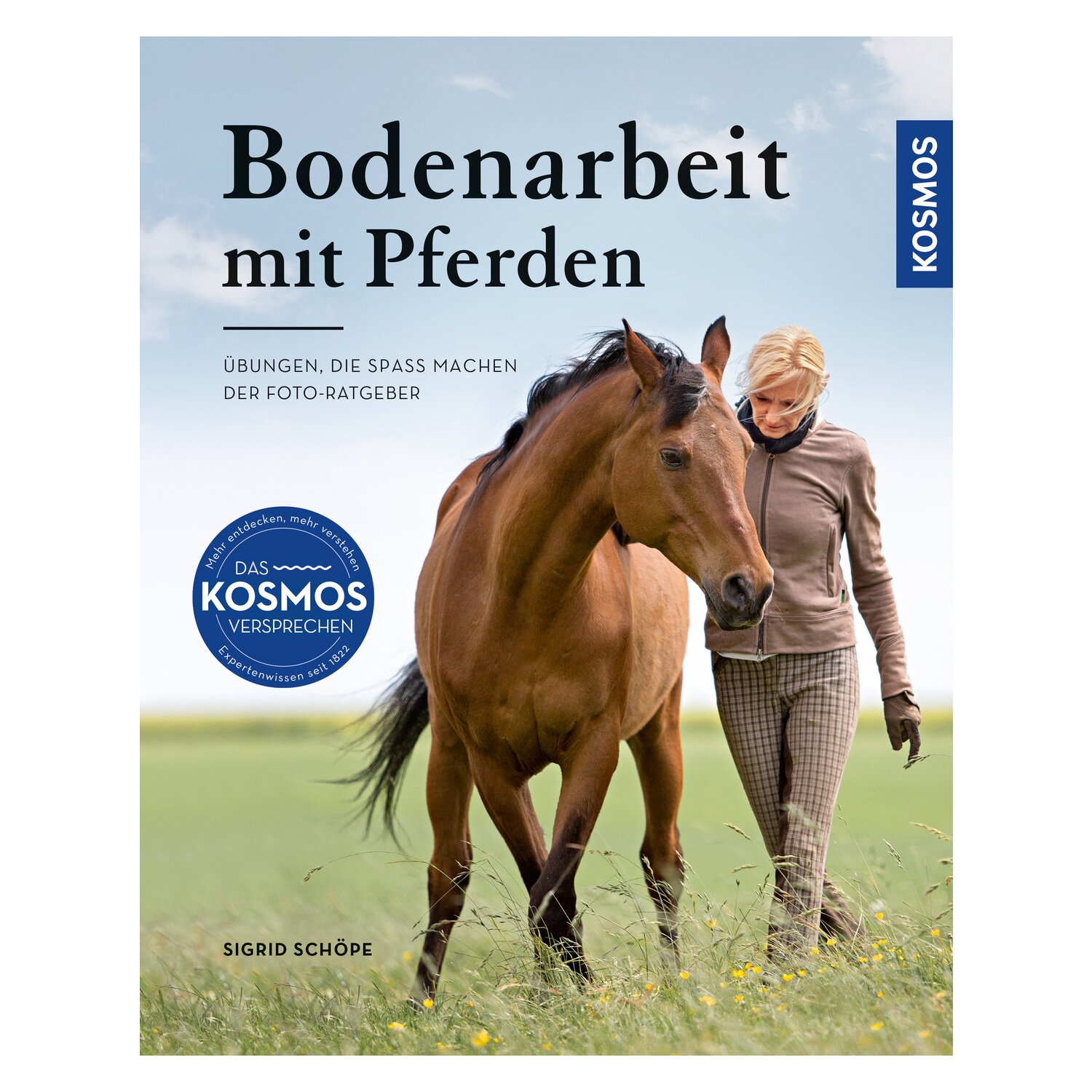 Bodenarbeit mit Pferden – Ansicht 1