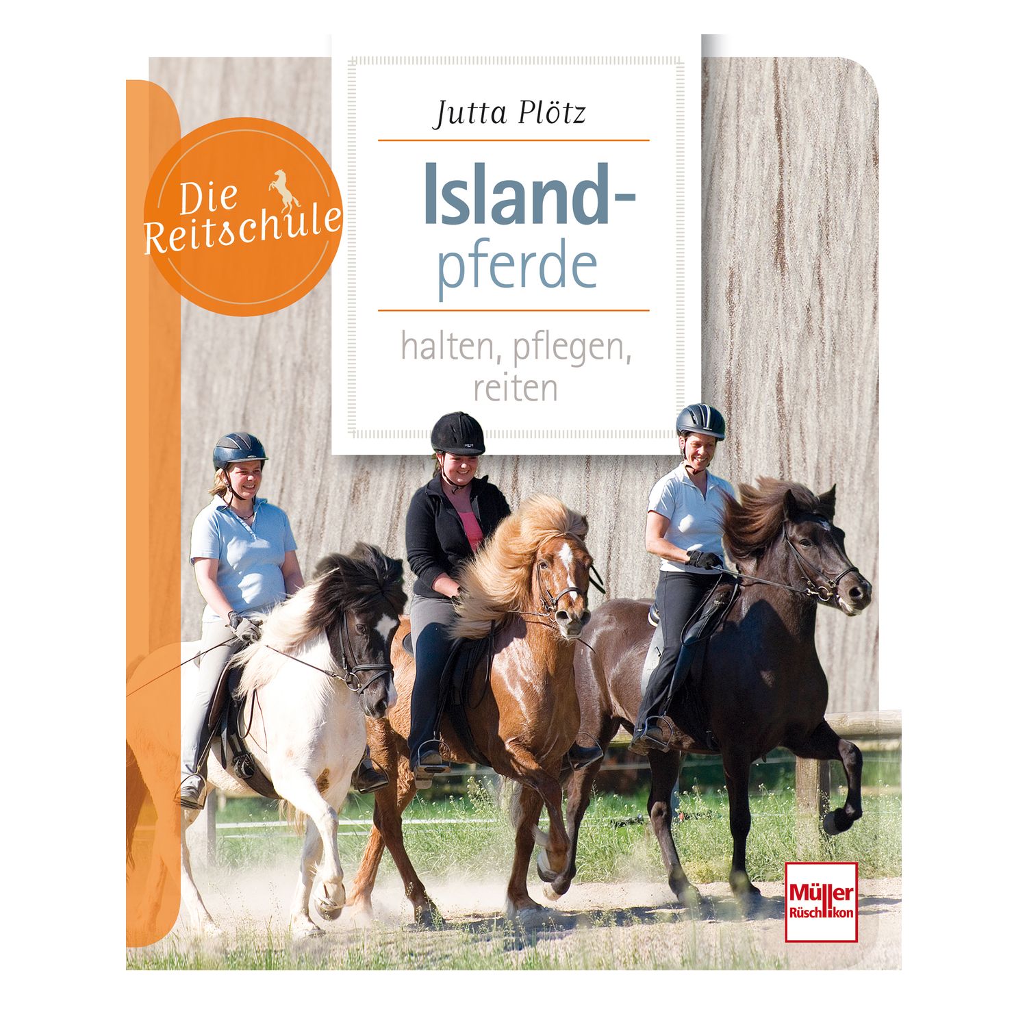 Islandpferde halten, pflegen, reiten &ndash; Ansicht 1