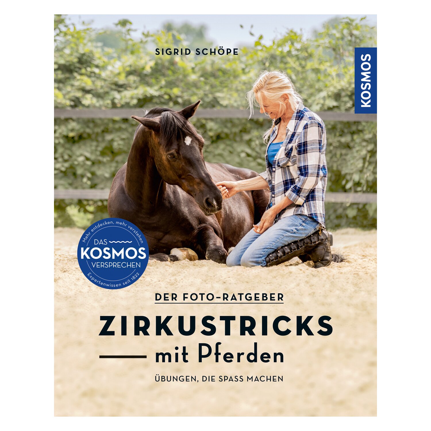 Zirkustricks mit Pferden – Ansicht 1