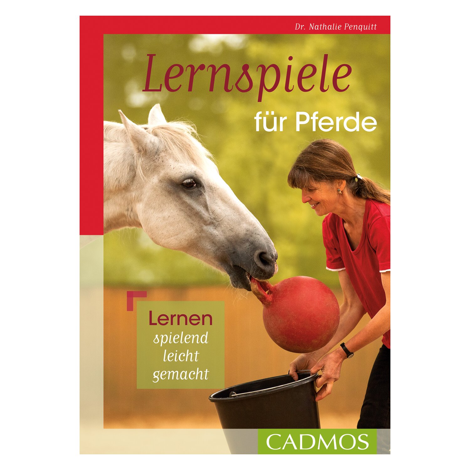 Lernspiele für Pferde – Ansicht 1