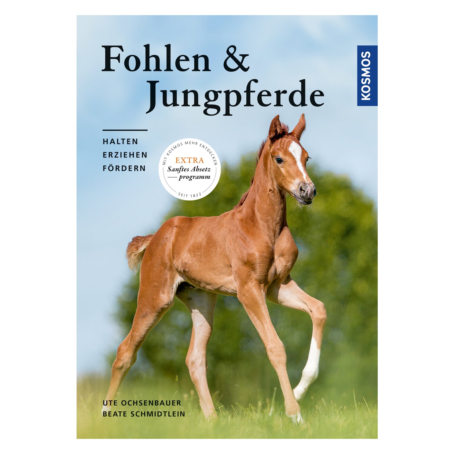 Fohlen und Jungpferde – Ansicht 1