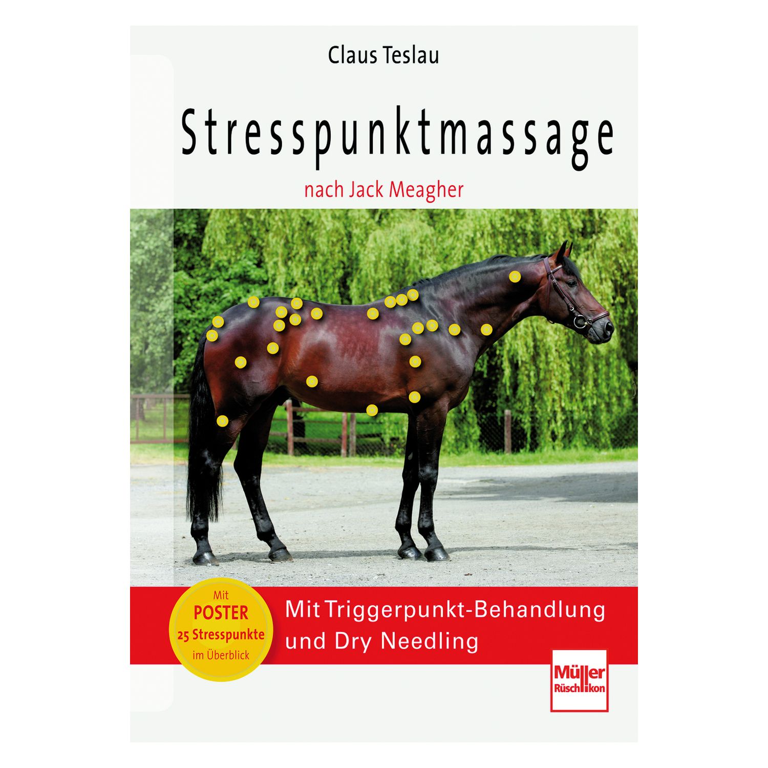 Stresspunktmassage nach Jack Meagher – Ansicht 1