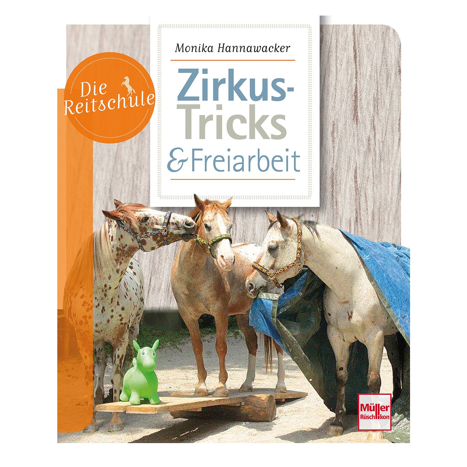 Zirkus-Tricks & Freiarbeit – Ansicht 1