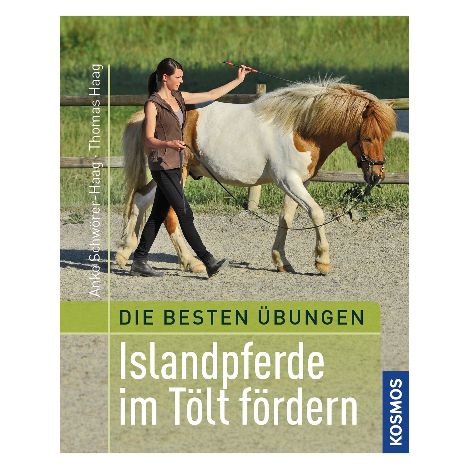 Islandpferde im Tölt fördern &ndash; Ansicht 1