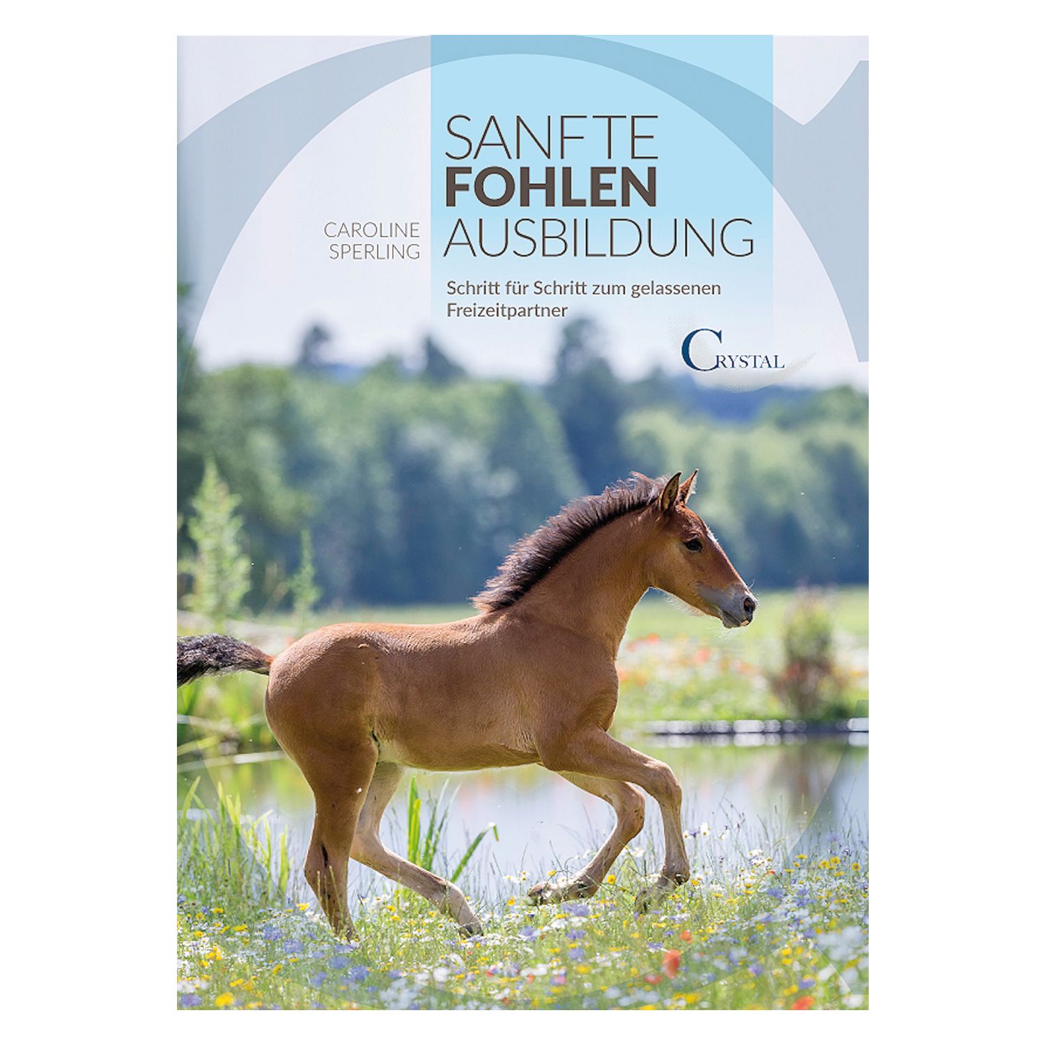 Sanfte Fohlenausbildung – Ansicht 1