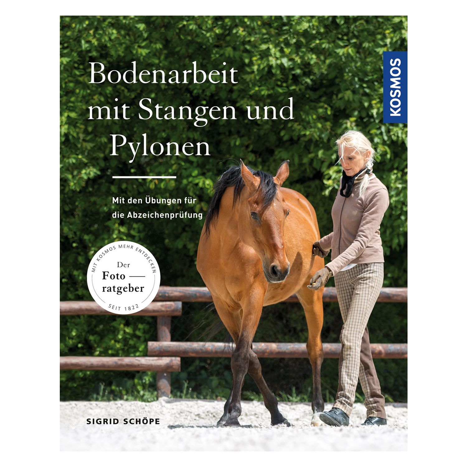 Bodenarbeit mit Stangen und Pylonen – Ansicht 1