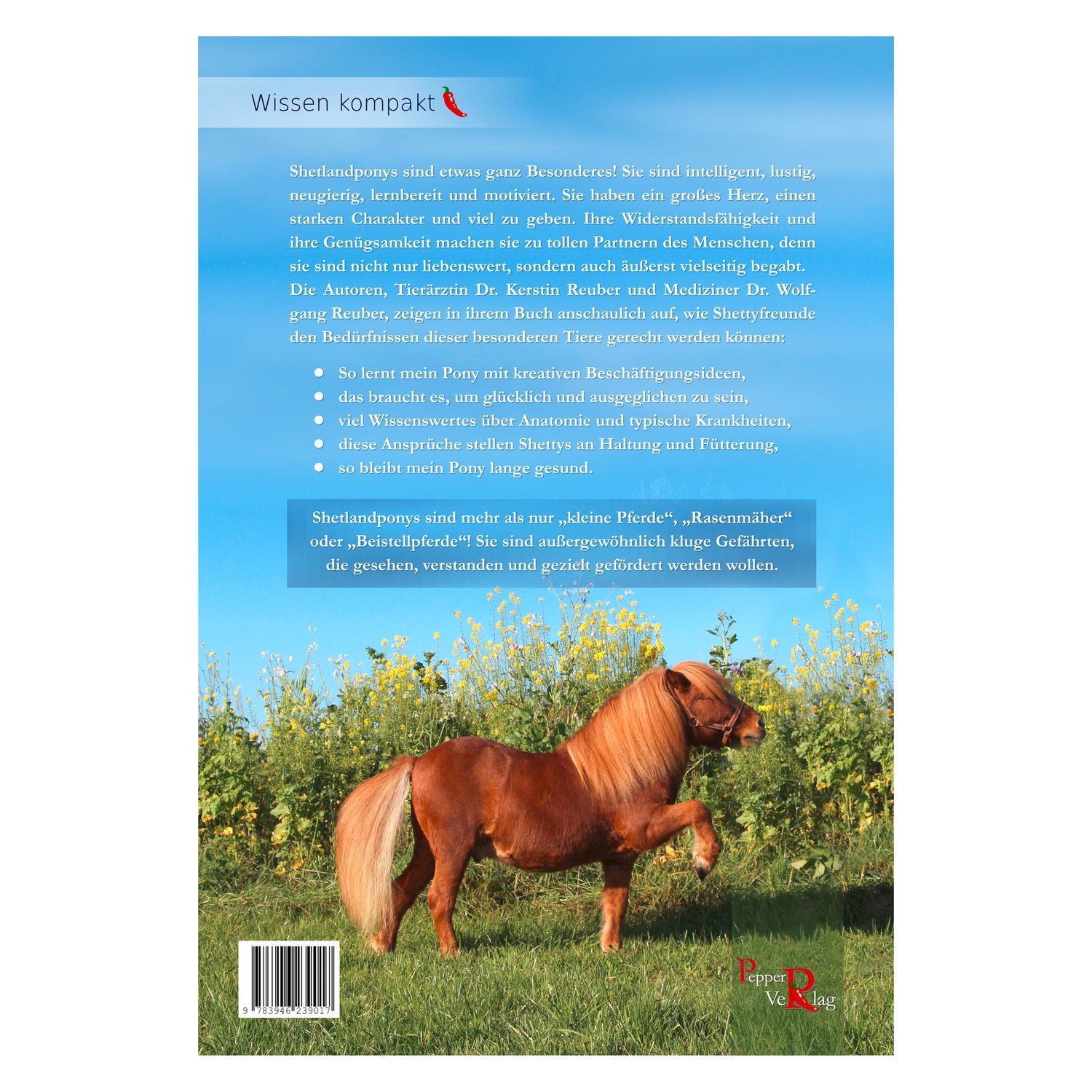 Shetlandponys – Ansicht 2