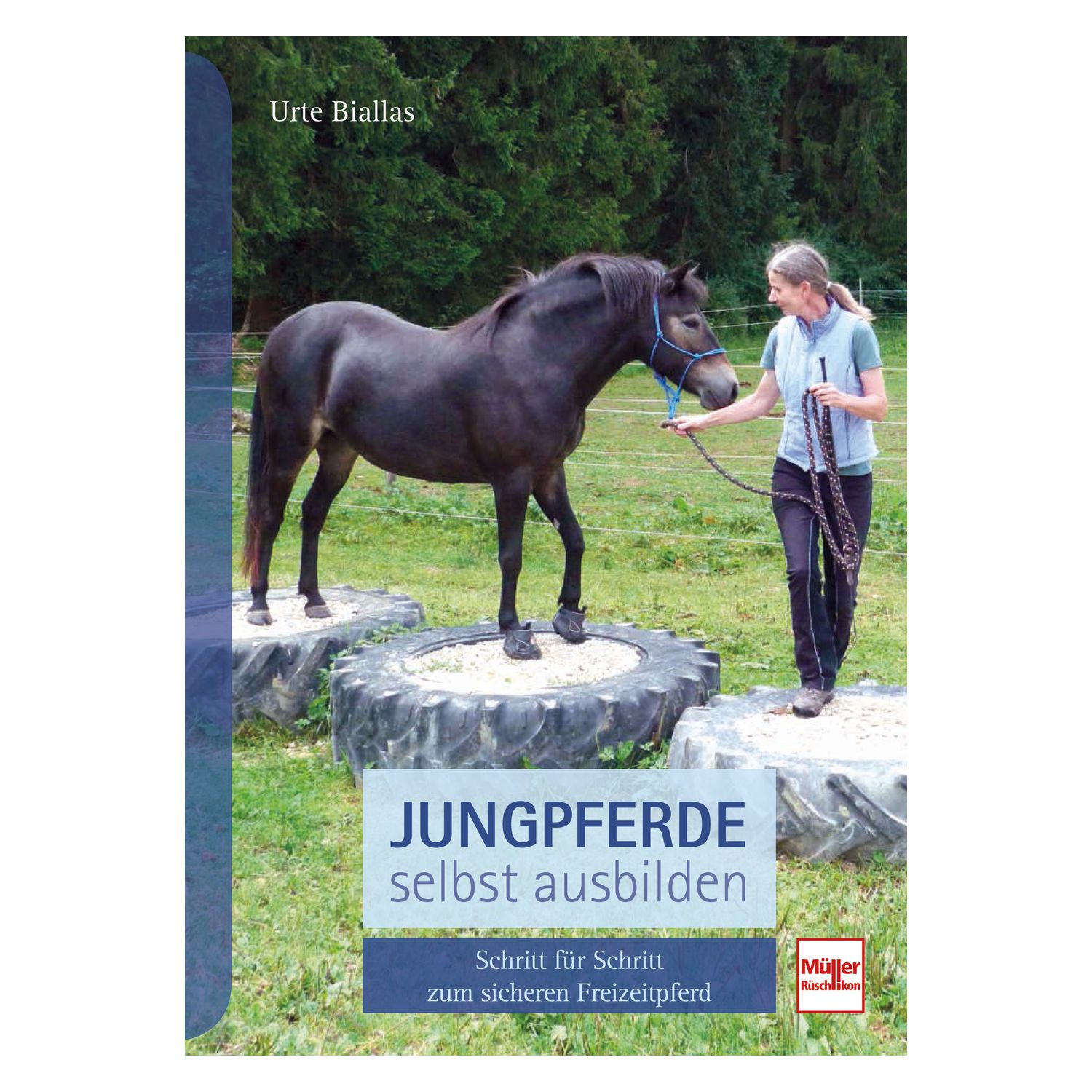 Jungpferde selbst ausbilden – Ansicht 1