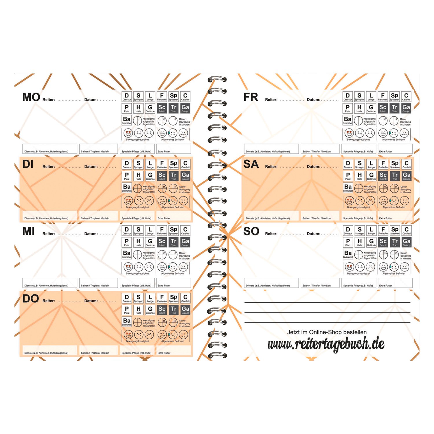 Reitertagebuch - Exklusiv Edition Dauerkalender – Ansicht 5
