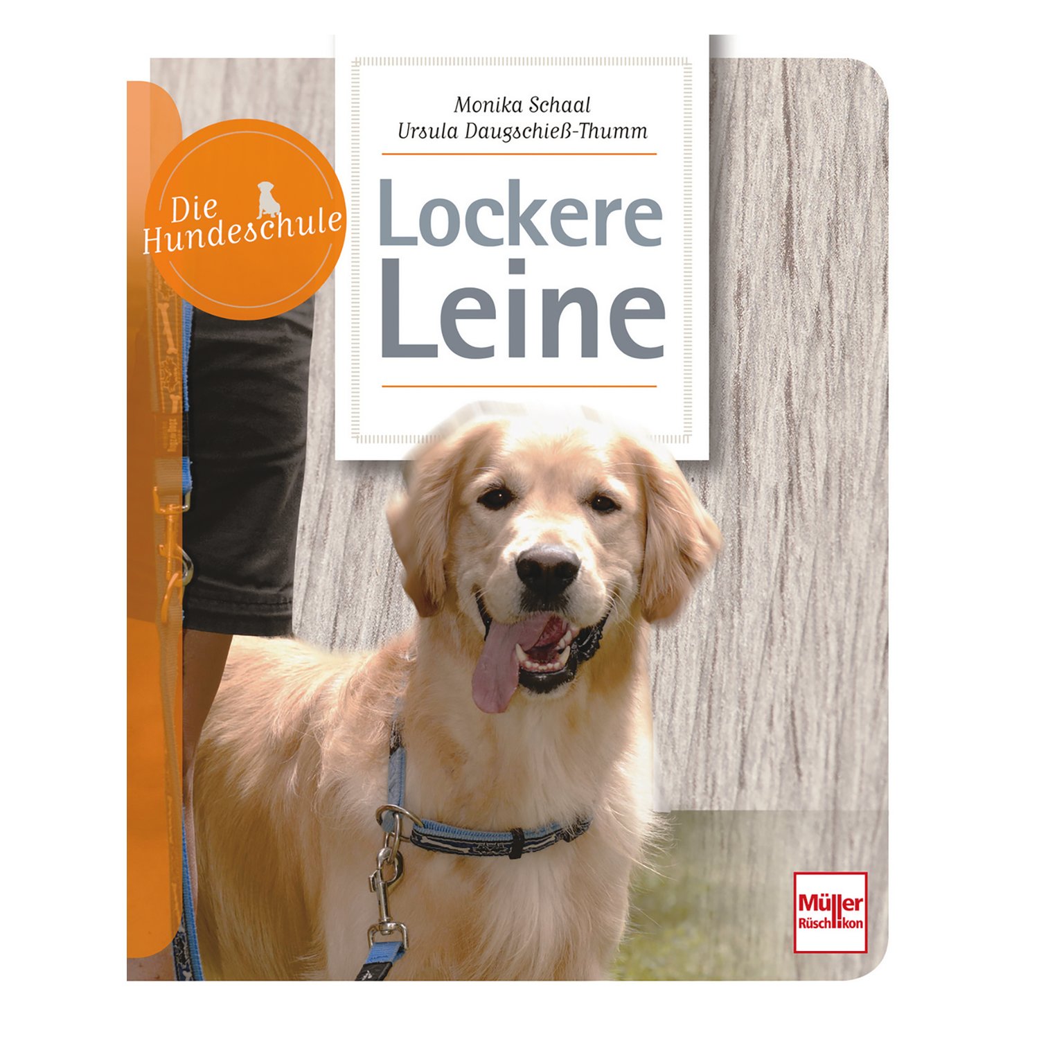 Lockere Leine – Ansicht 1