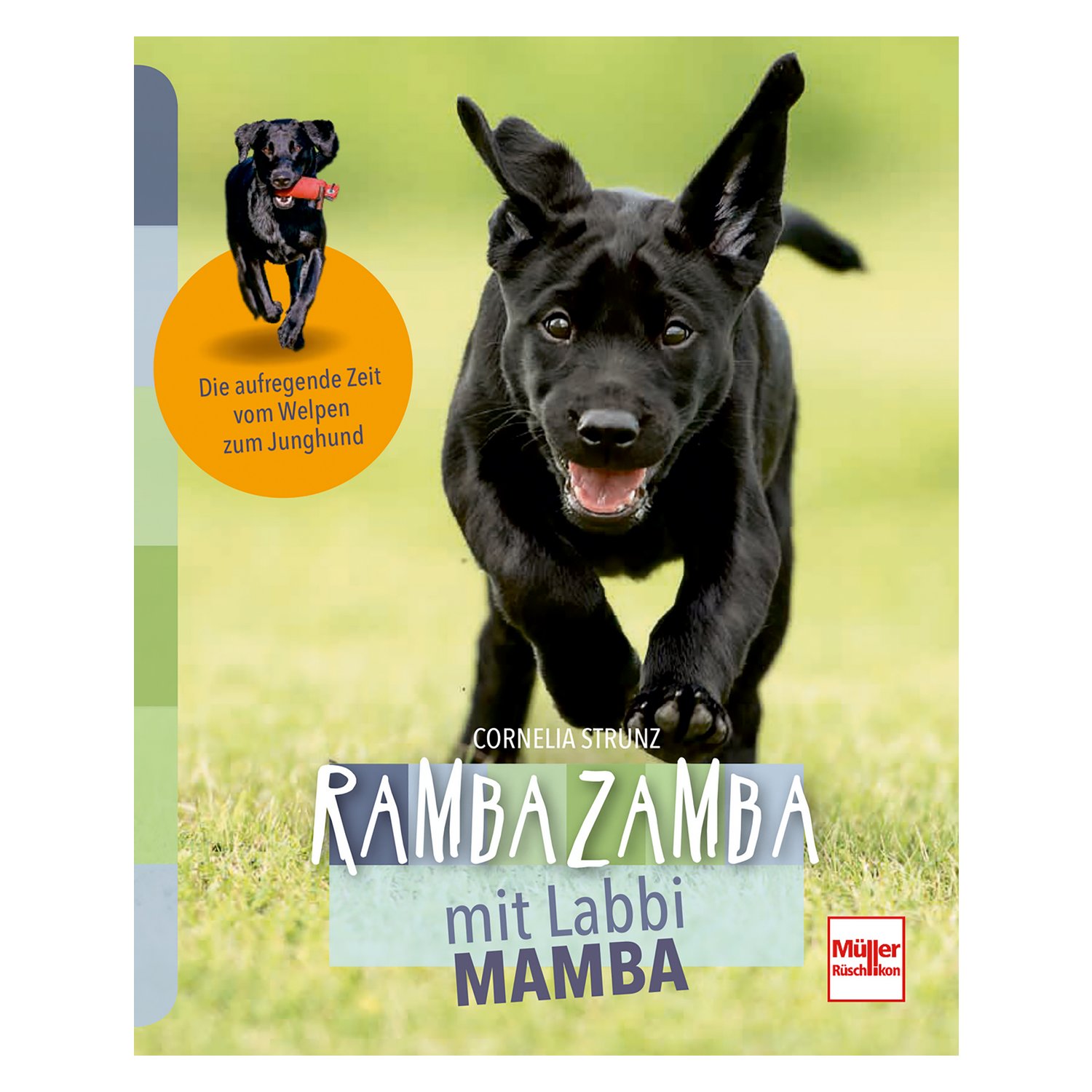 Rambazamba mit Labbi Mamba – Ansicht 1