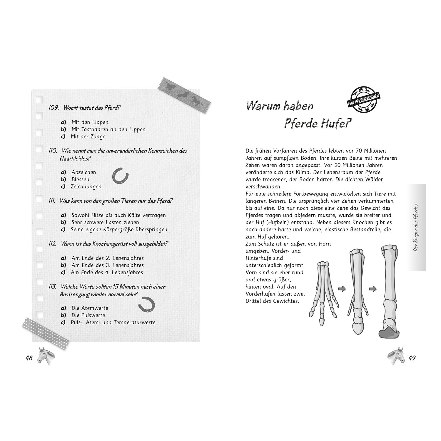 Mein Pferdequiz – Ansicht 3