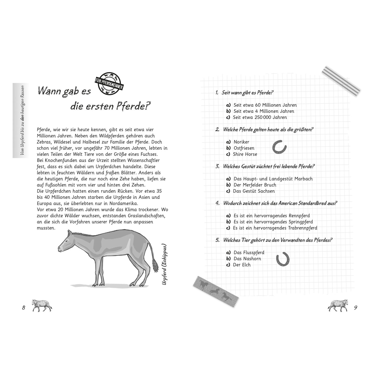 Mein Pferdequiz – Ansicht 4
