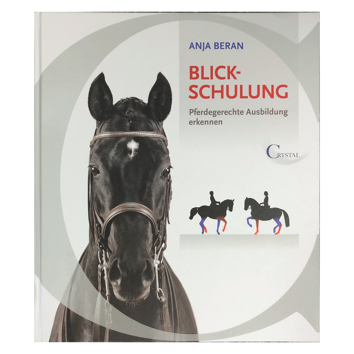 Blickschulung - Pferdegerechte Ausbildung erkennen – Ansicht 1
