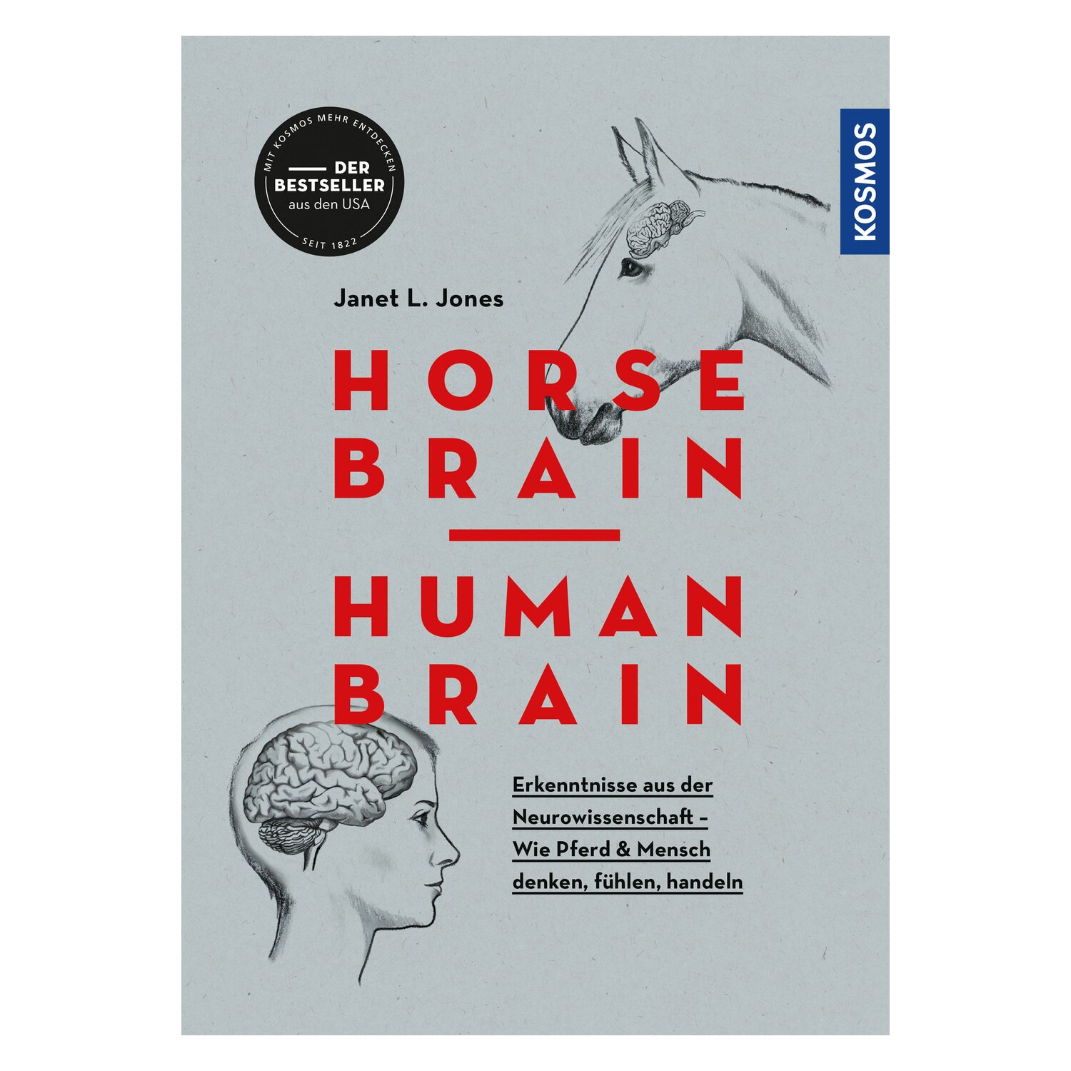 Horse Brain- Human Brain – Ansicht 1