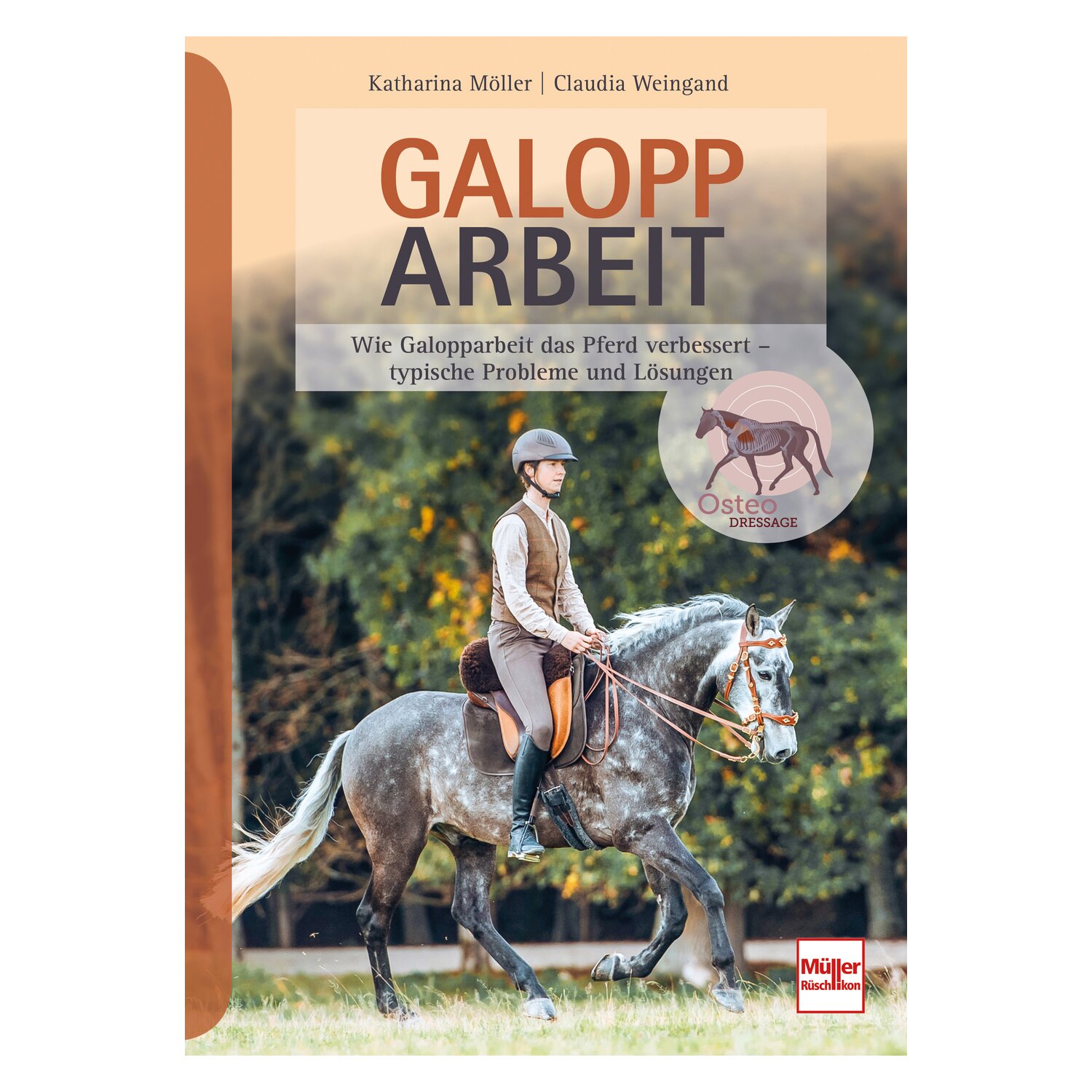 Galopparbeit - Wie Galopparbeit das Pferd verbessert – Ansicht 1