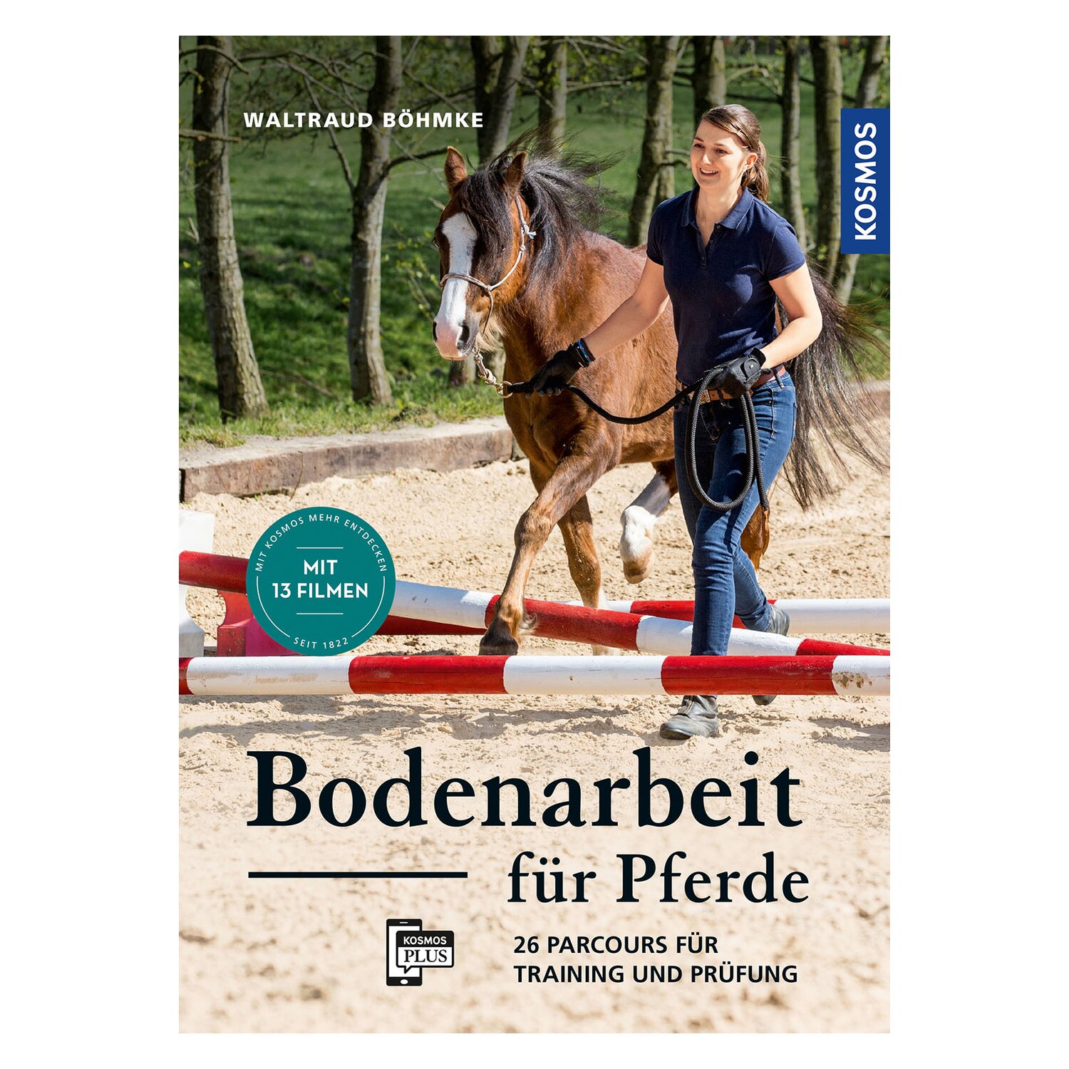 Bodenarbeit für Pferde – Ansicht 1