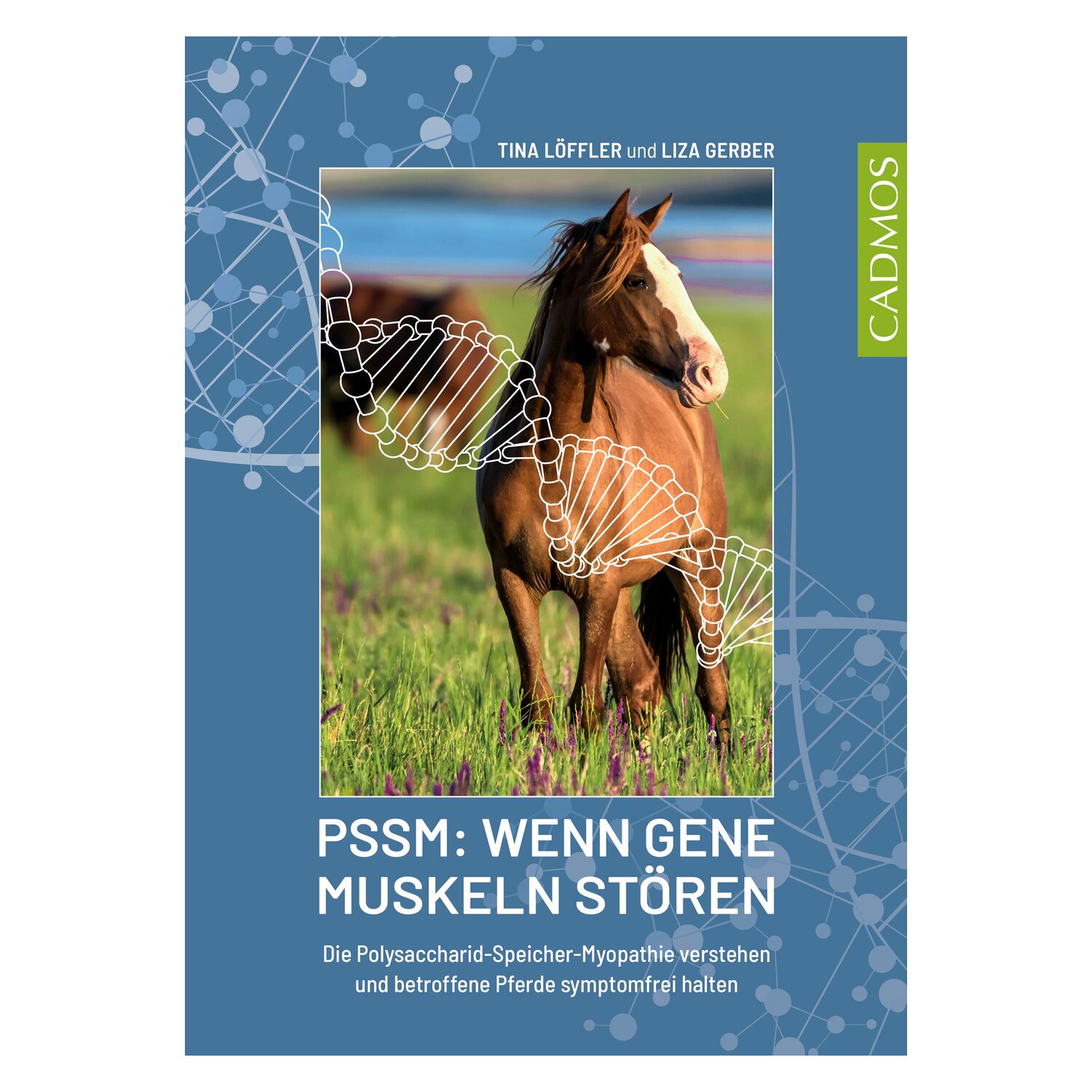 PSSM: Wenn Gene Muskeln stören – Ansicht 1