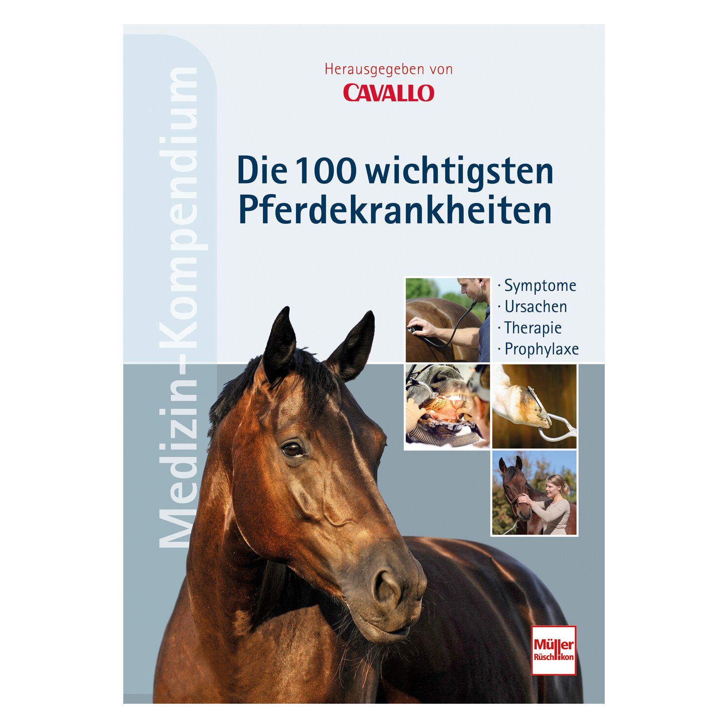 Hilfe fürs kranke Pferd - Die 100 wichtigsten Krankheiten von A bis Z I Symptome I Ursachen I Therapie I Vorbeugen – Ansicht 1