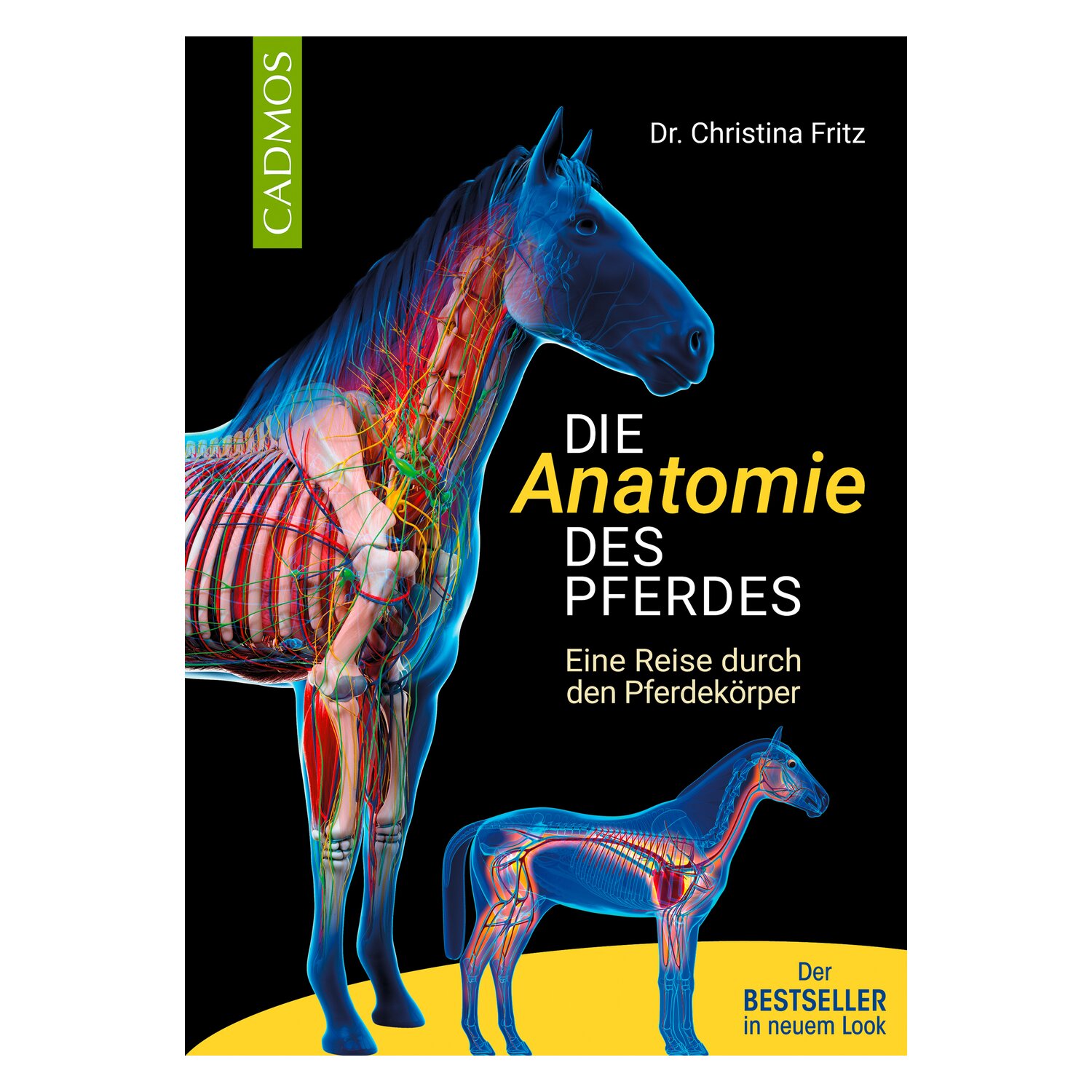 Die Anatomie des Pferdes – Ansicht 1