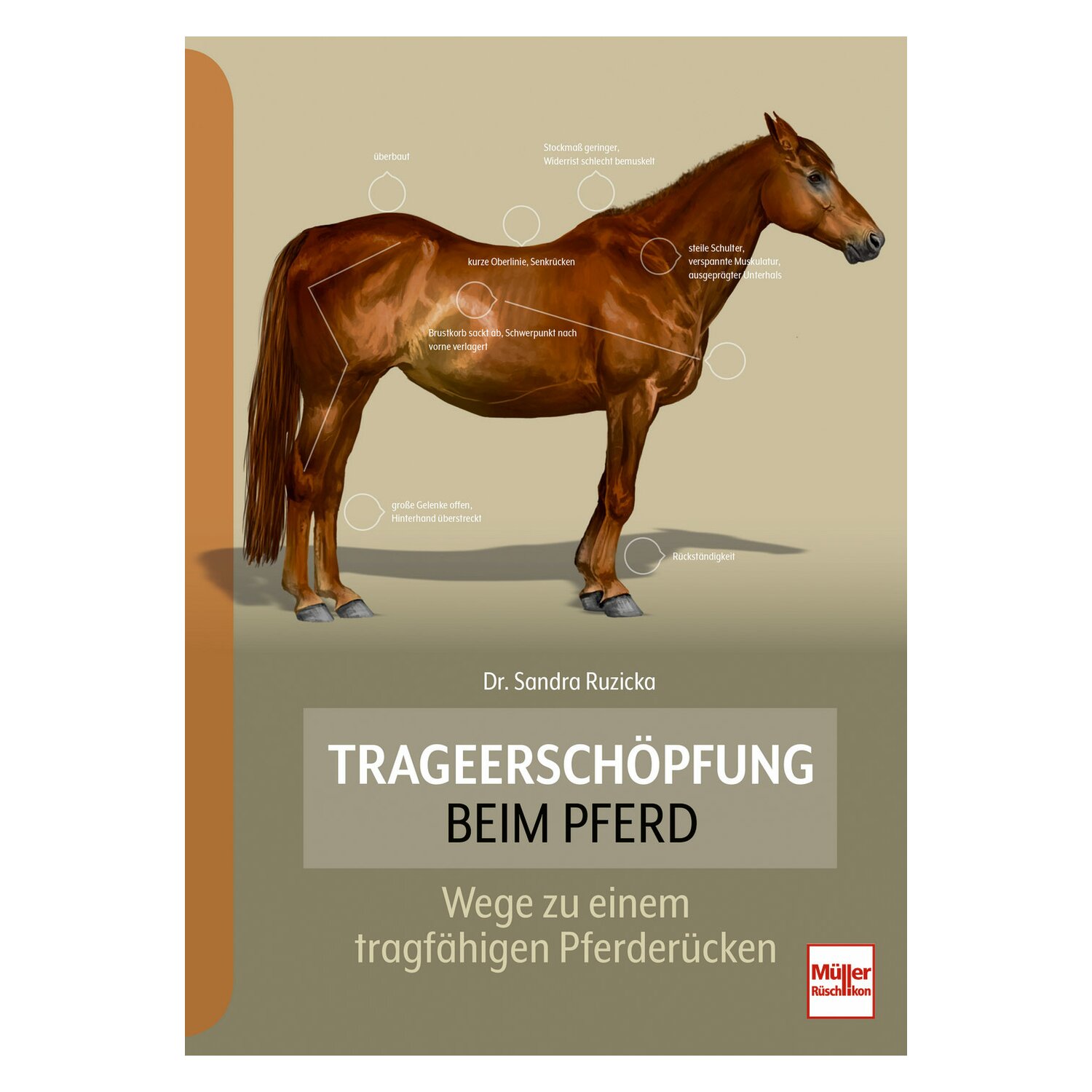 Trageerschöpfung beim Pferd – Ansicht 1