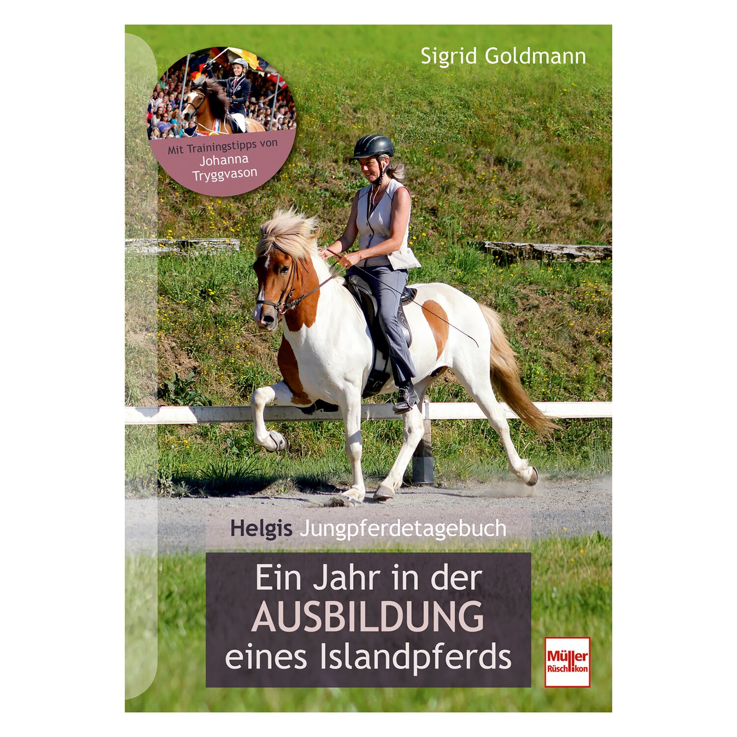 Helgis Jungpferdetagebuch &ndash; Ansicht 1
