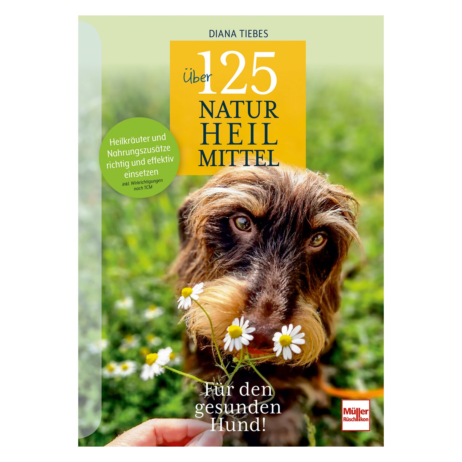 Über 125 Naturheilmittel für den gesunden Hund – Ansicht 1