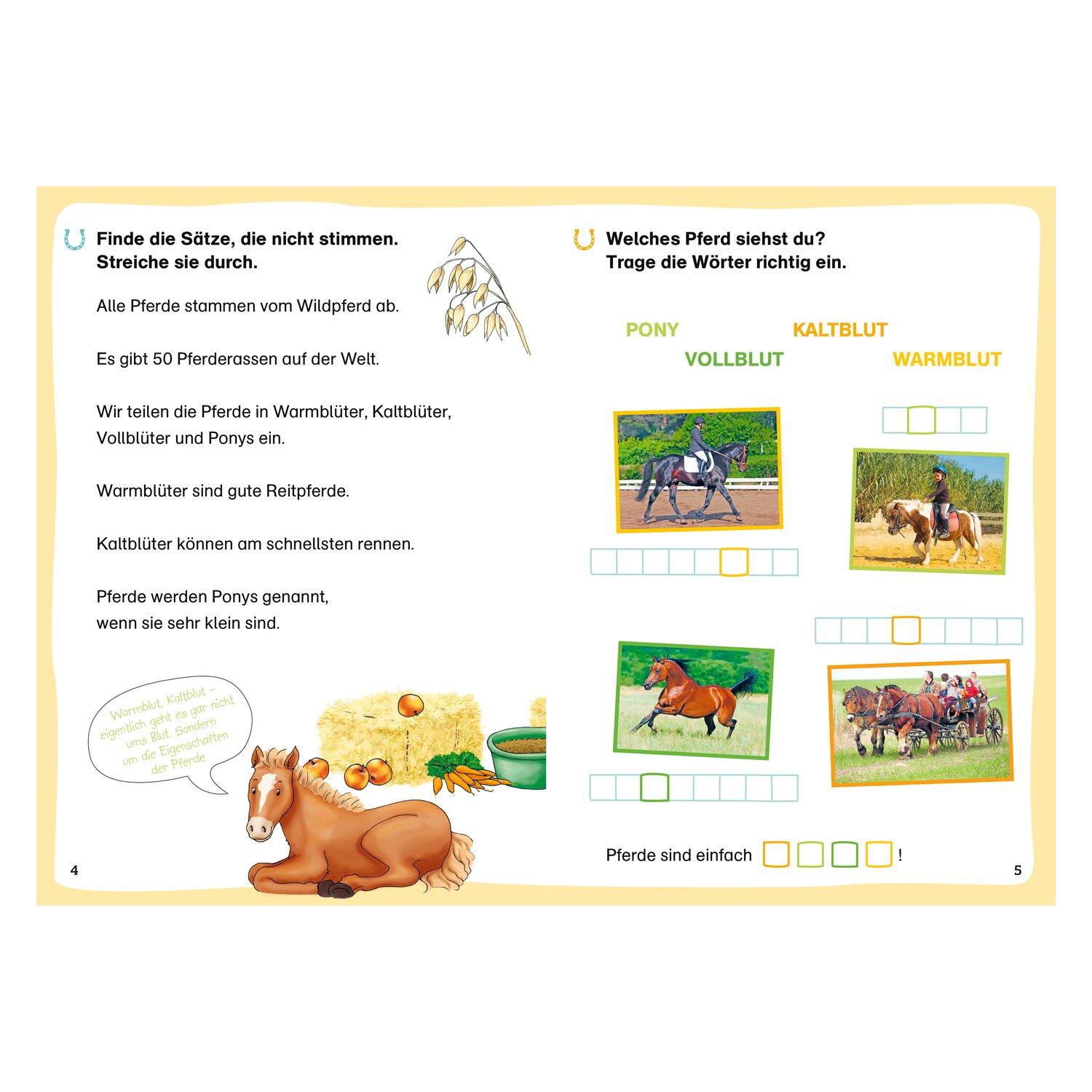 WAS IST WAS Erstes Lesen - Leserätsel Pferde und Ponys – Ansicht 4