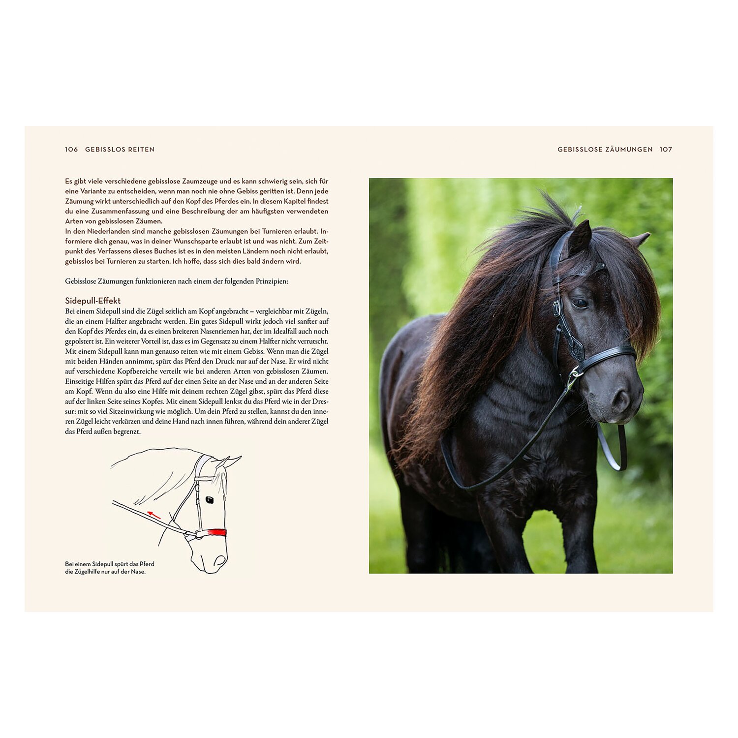 KOSMOS Gebisslos Reiten – Ansicht 5