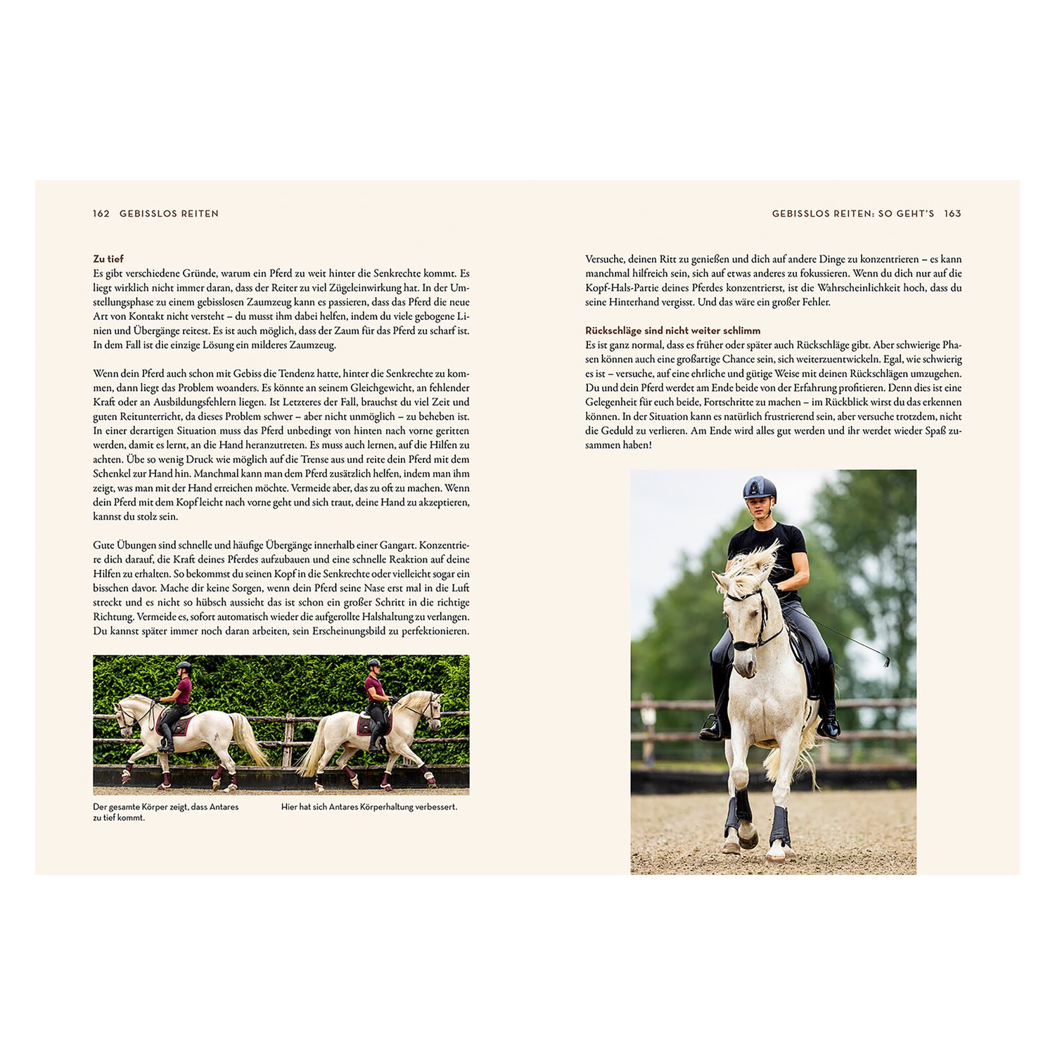 KOSMOS Gebisslos Reiten – Ansicht 6