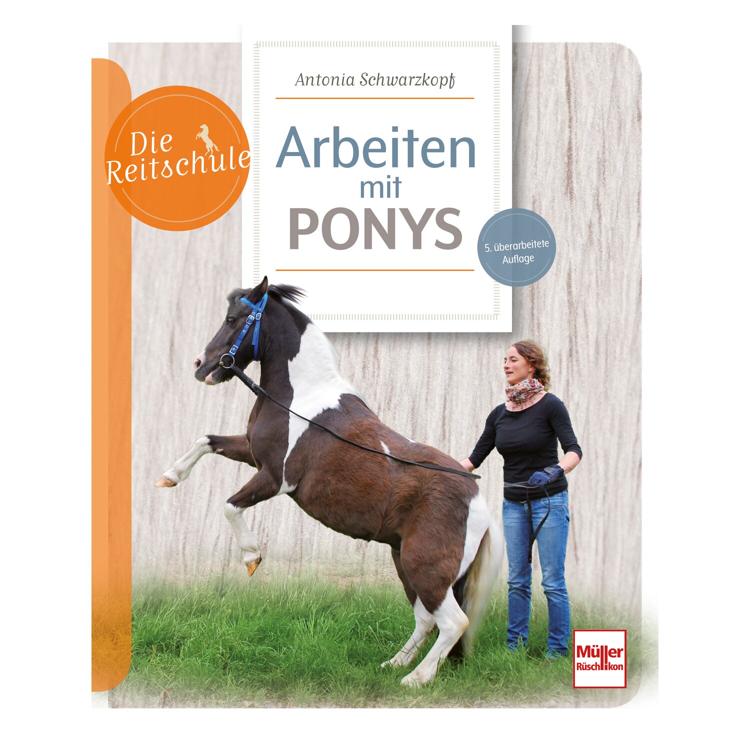 Arbeiten mit Ponys – Ansicht 1