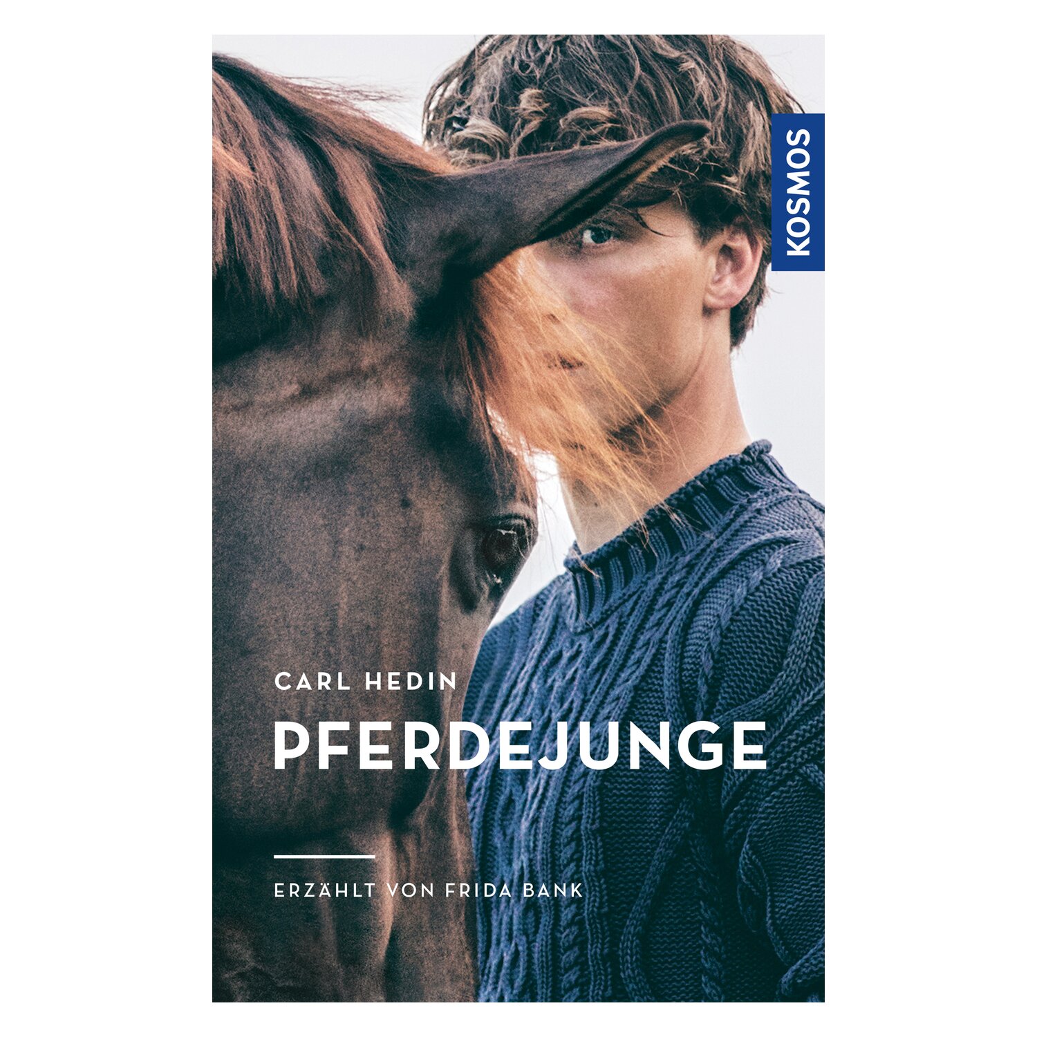 Der Pferdejunge – Ansicht 1