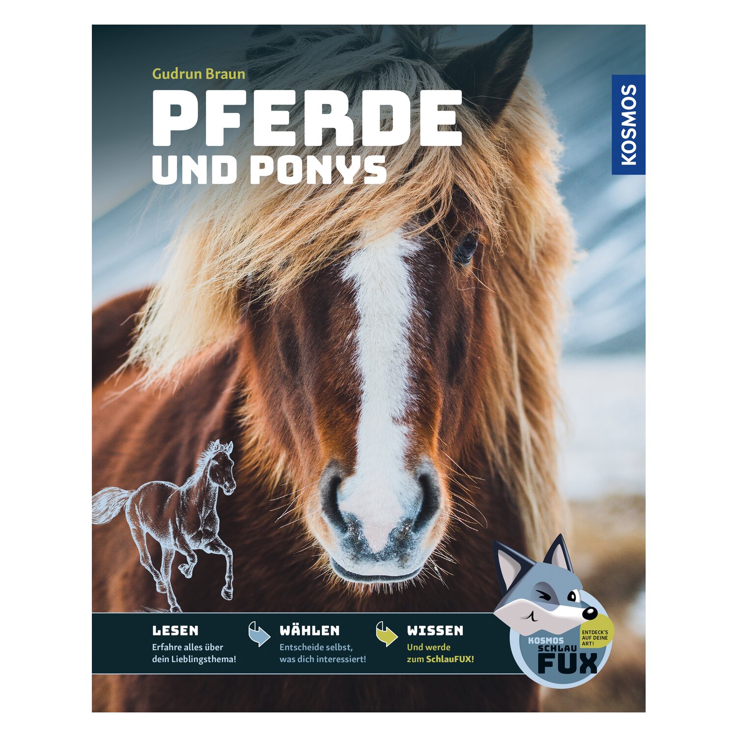 Schlaufux Pferde und Ponys - Lesen, Malen, Wissen – Ansicht 1
