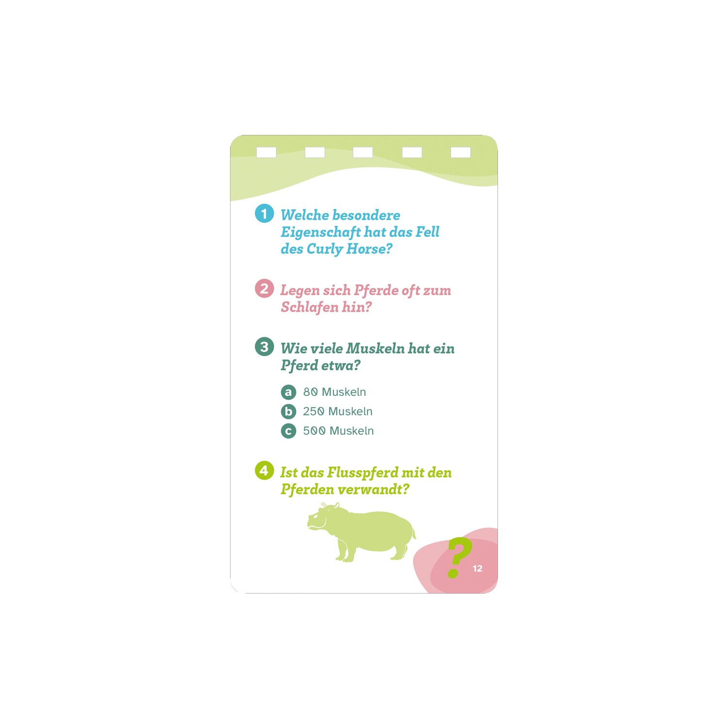 WAS IST WAS Quizblock Pferde Quiz – Ansicht 4