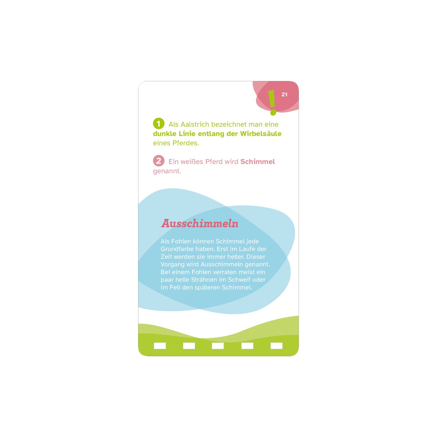 WAS IST WAS Quizblock Pferde Quiz – Ansicht 7
