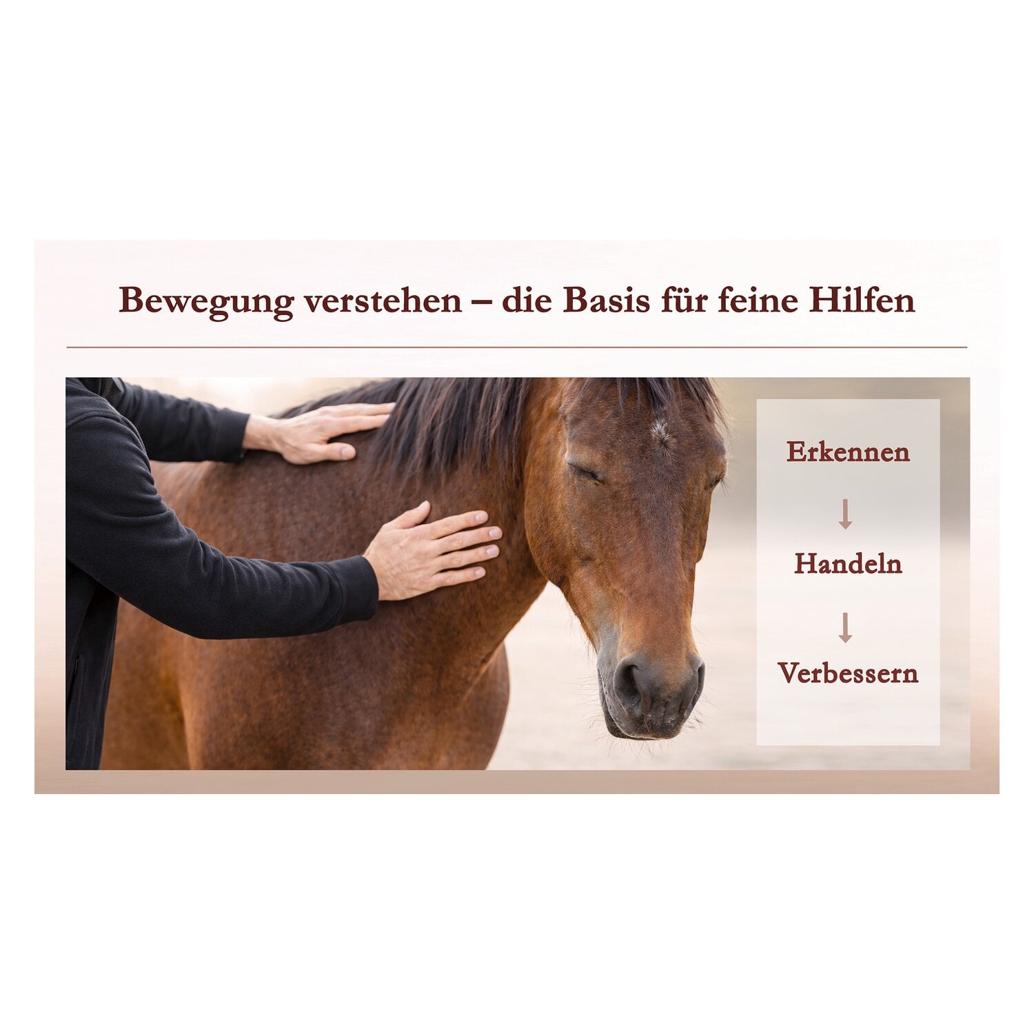 Körperarbeit als Dialog, Pferdeosteophatie trifft Natural Horsemanship &ndash; Ansicht 4