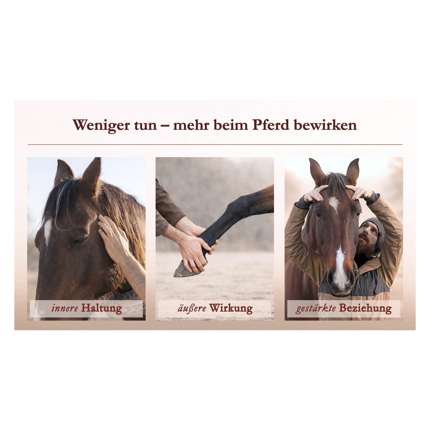 Körperarbeit als Dialog, Pferdeosteophatie trifft Natural Horsemanship &ndash; Ansicht 5