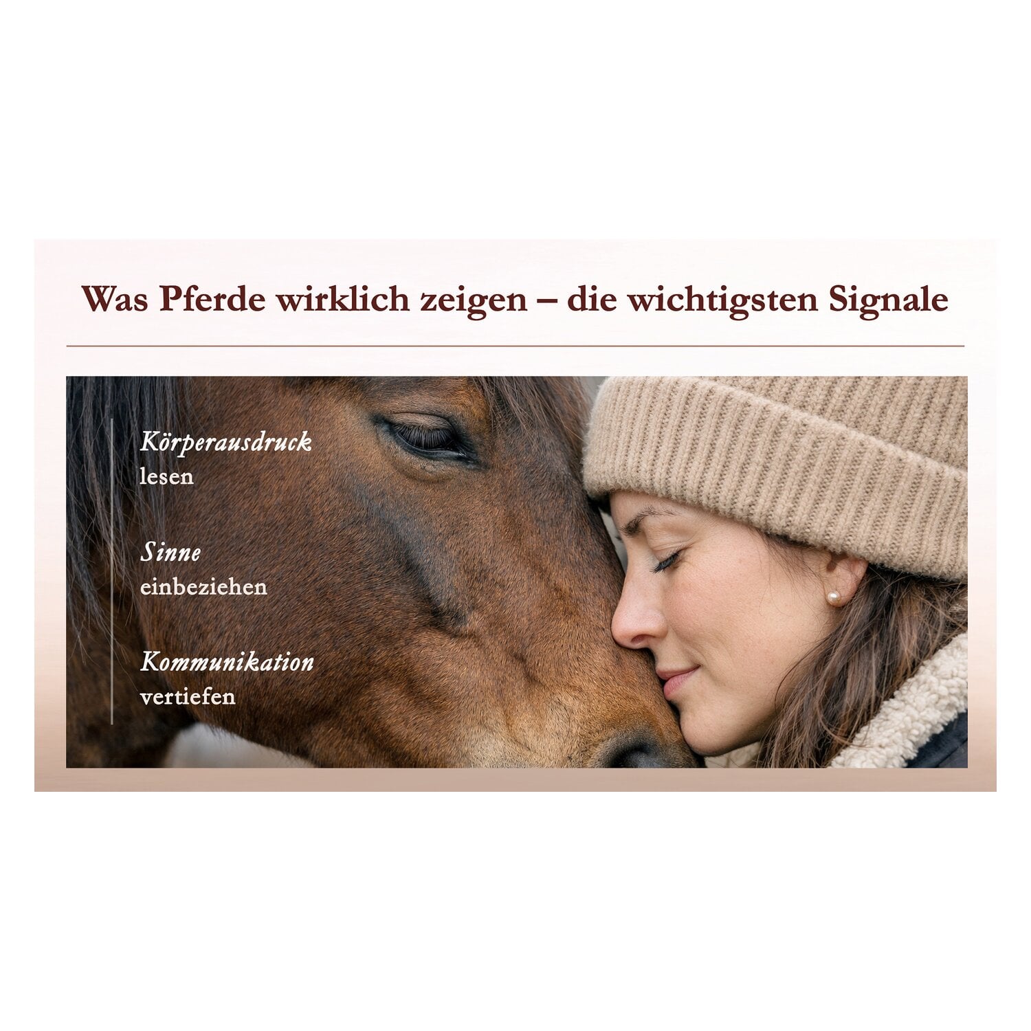 Körperarbeit als Dialog, Pferdeosteophatie trifft Natural Horsemanship &ndash; Ansicht 6