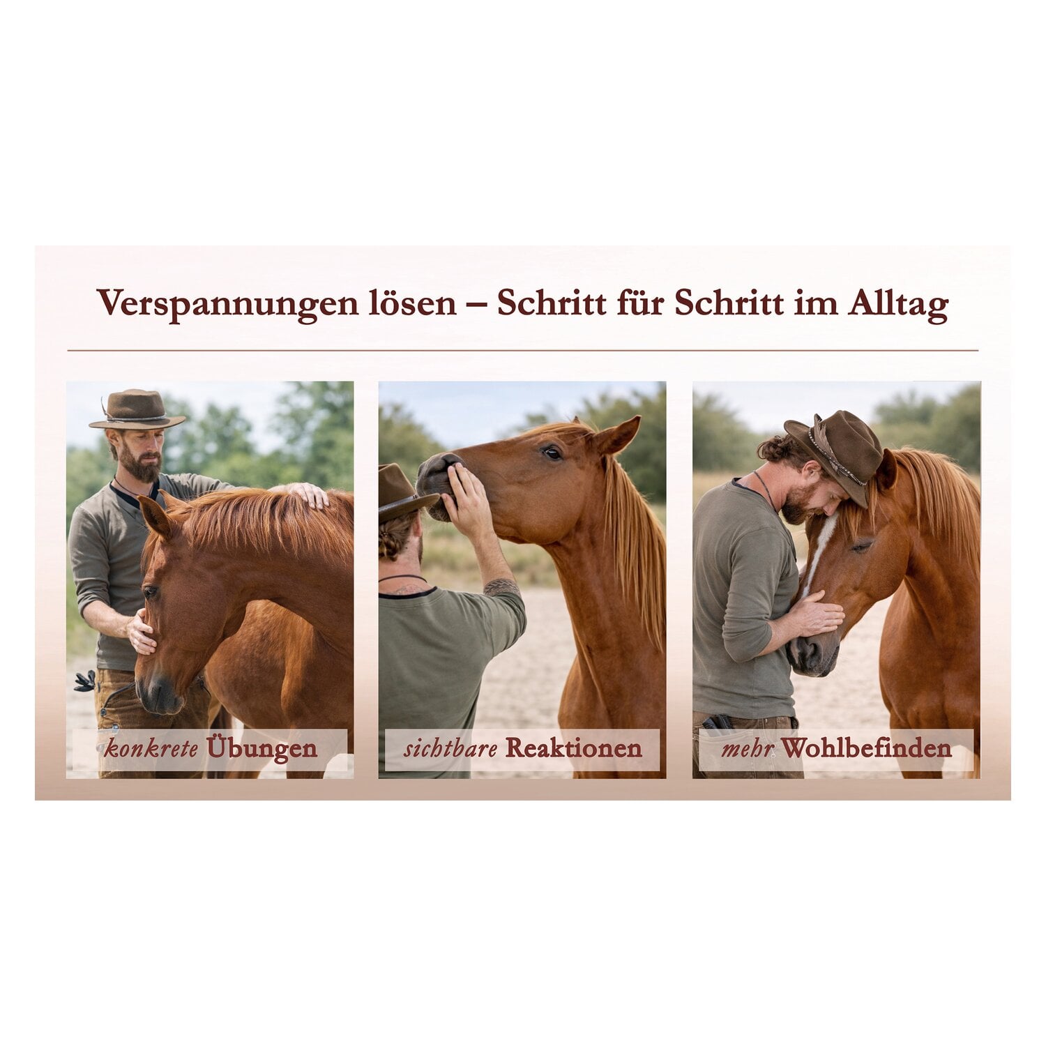 Körperarbeit als Dialog, Pferdeosteophatie trifft Natural Horsemanship &ndash; Ansicht 7