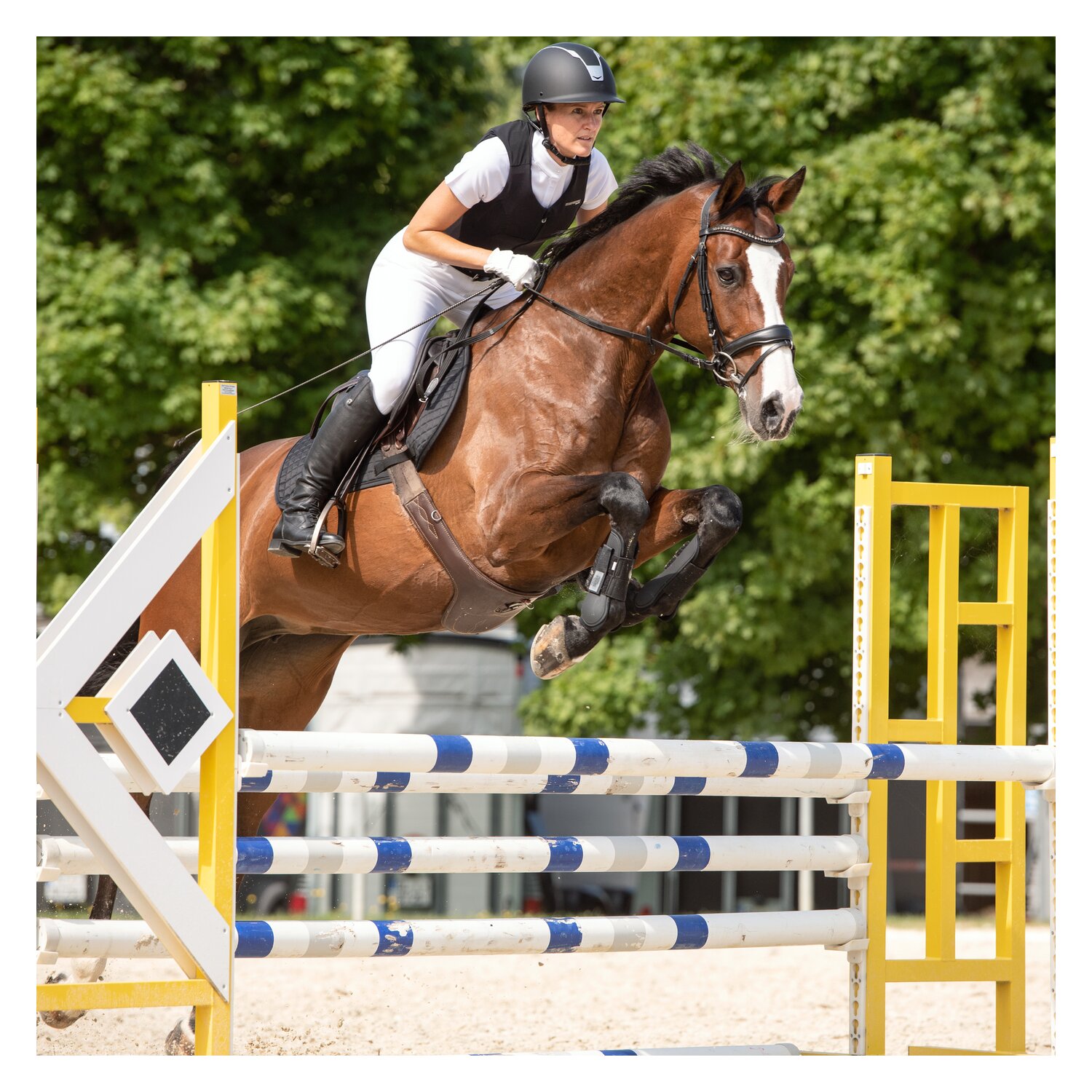 Cheval de Luxe Reithelm Chambery – Ansicht 7