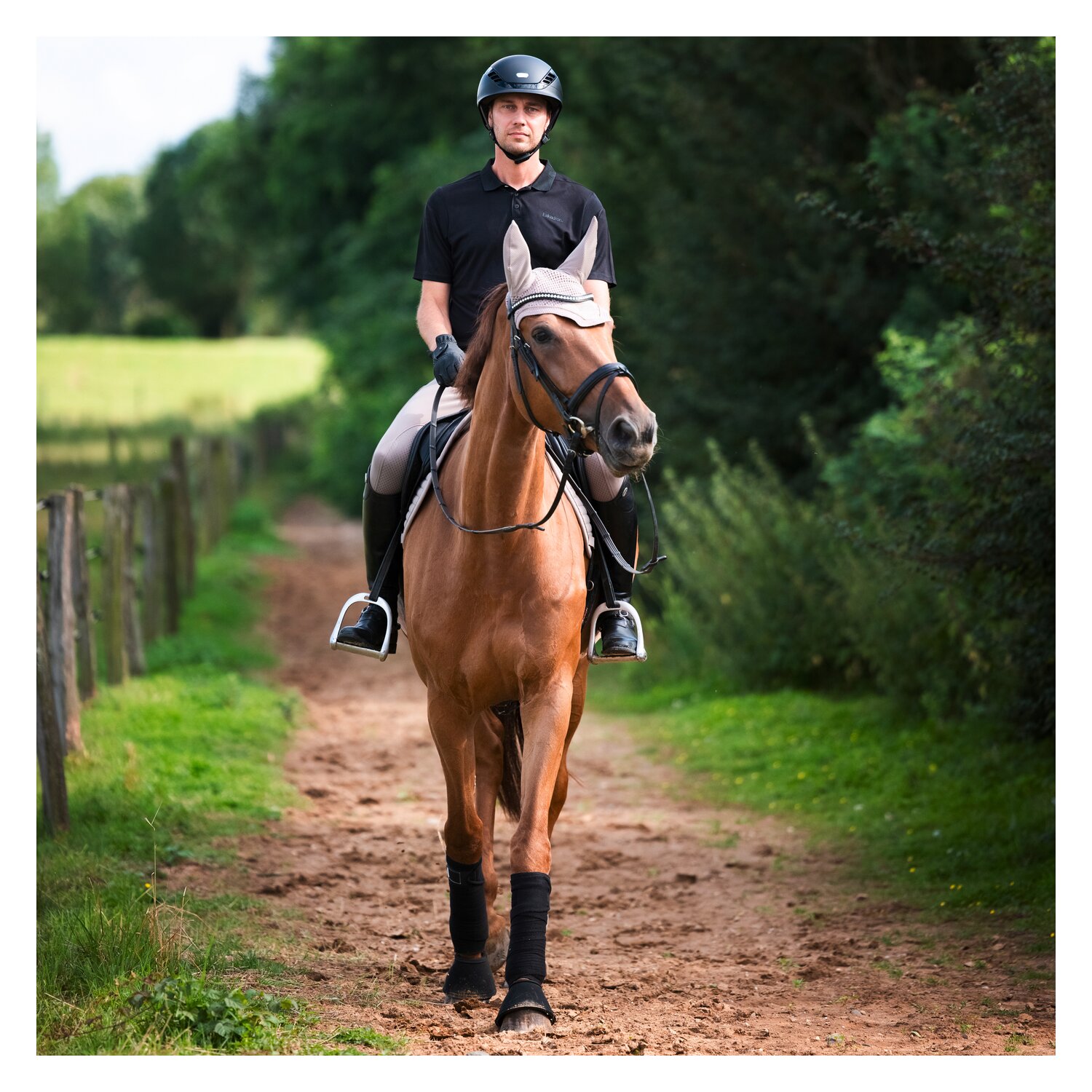 ABUS PIKEUR Reithelm AirLuxe Pure Short Visor – Ansicht 6