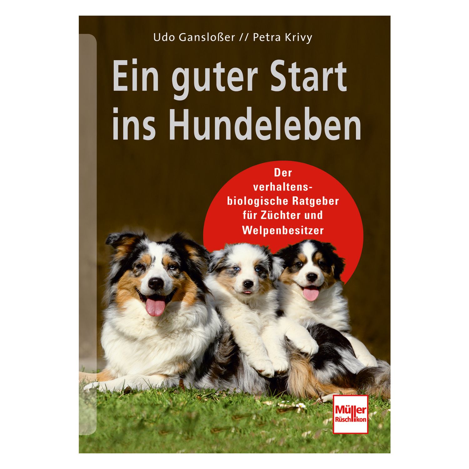 Ein guter Start ins Hundeleben – Ansicht 1